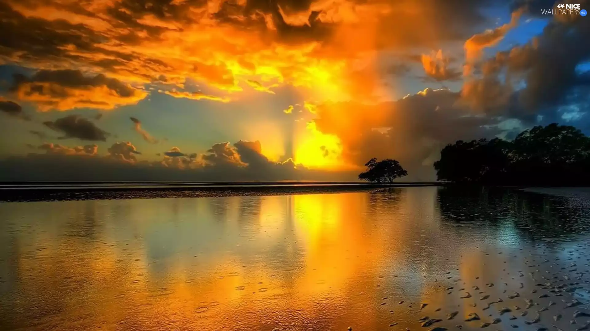 trees, viewes, sun, lake, west