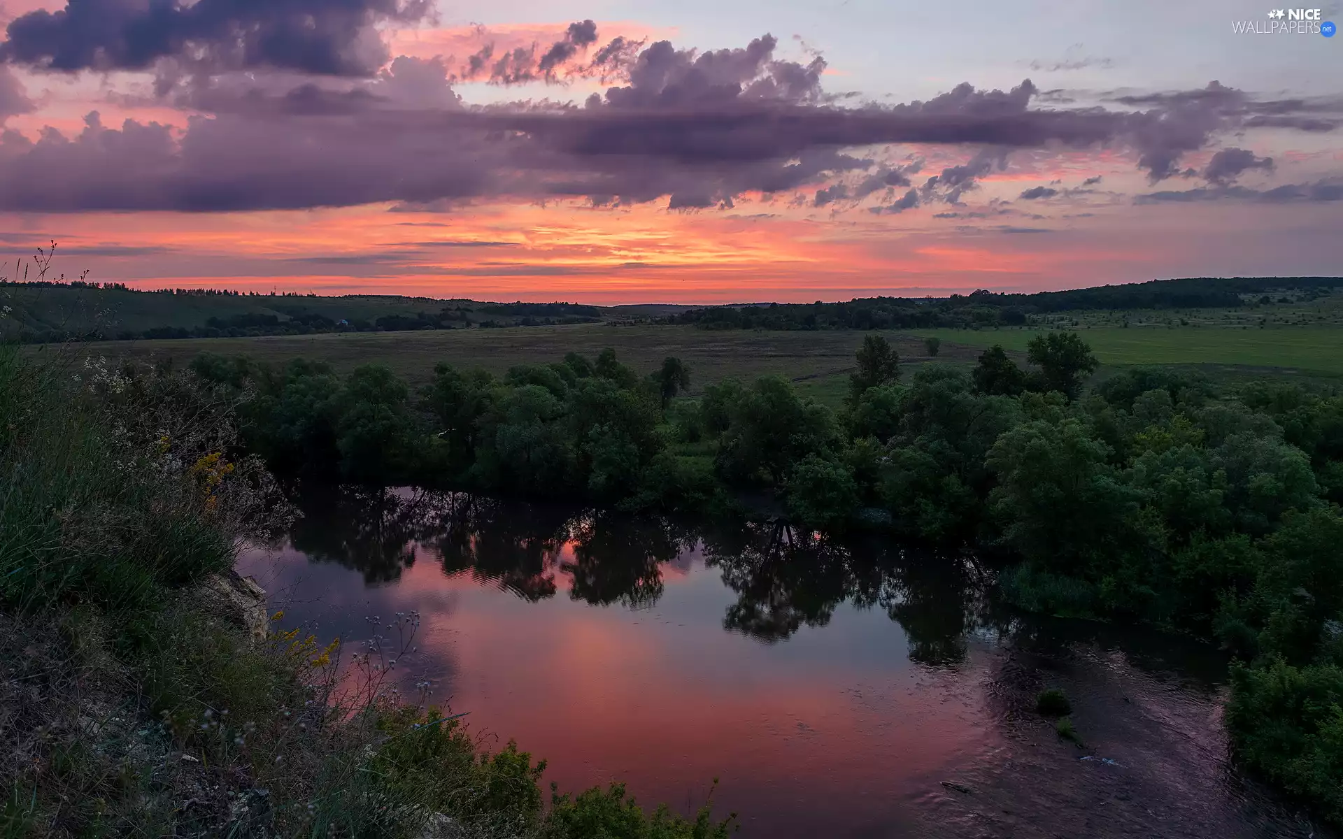 Bush, trees, Sunrise, viewes, River, plain, clouds