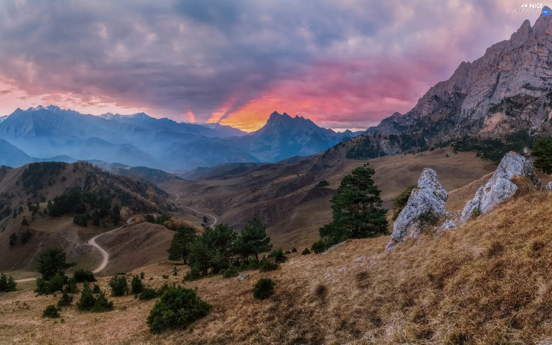 Way, Mountains, trees, viewes, rocks, Sunrise