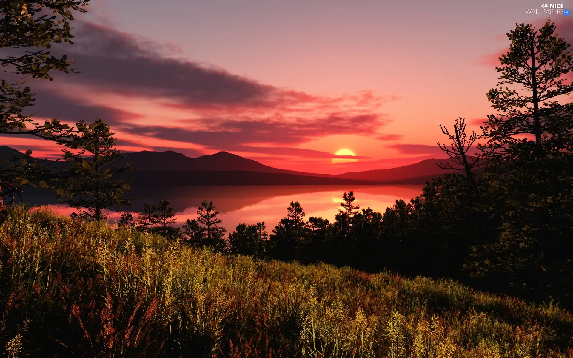 Great Sunsets, trees, viewes, grass