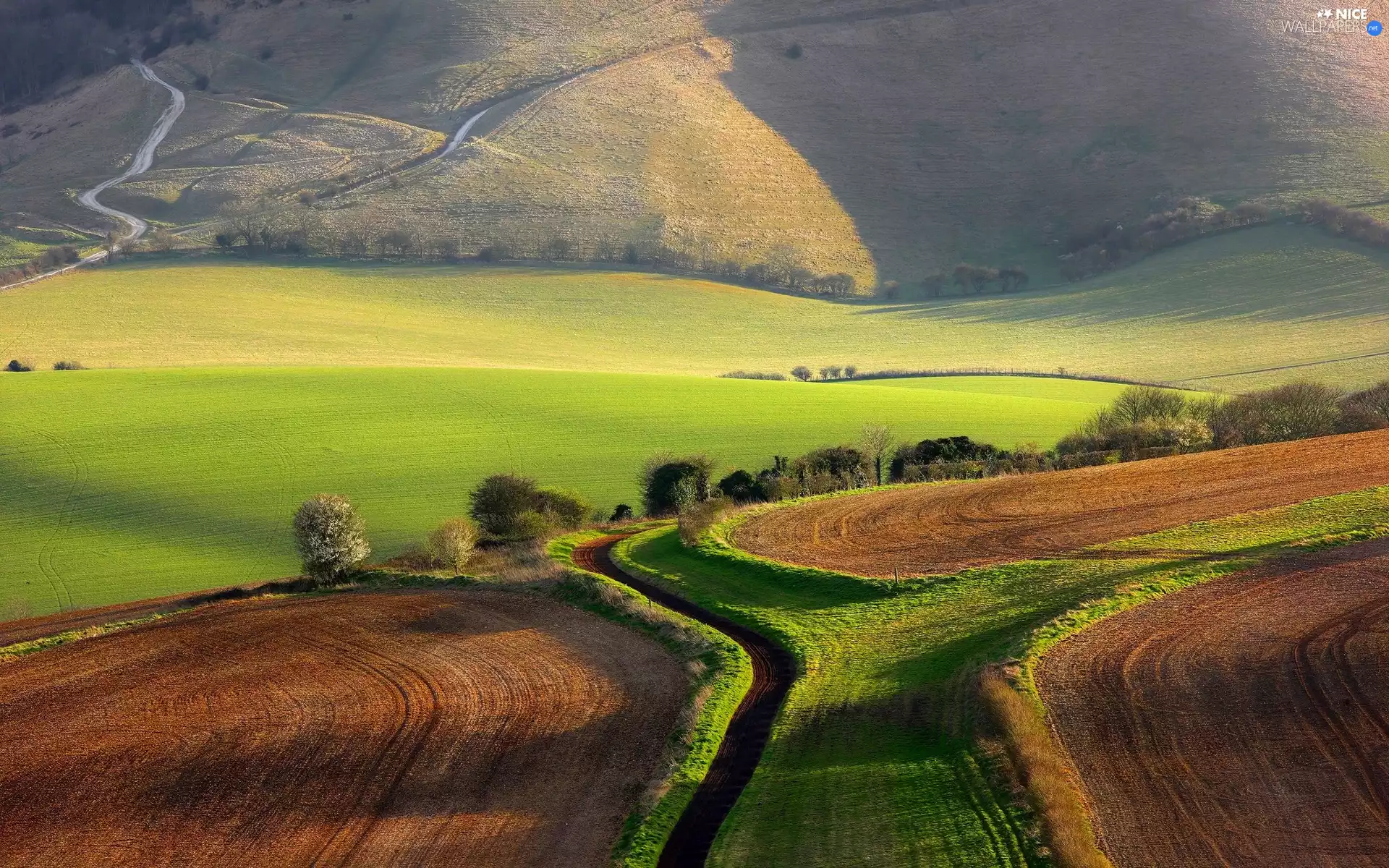 field, England, trees, viewes, Way, Kingston Village