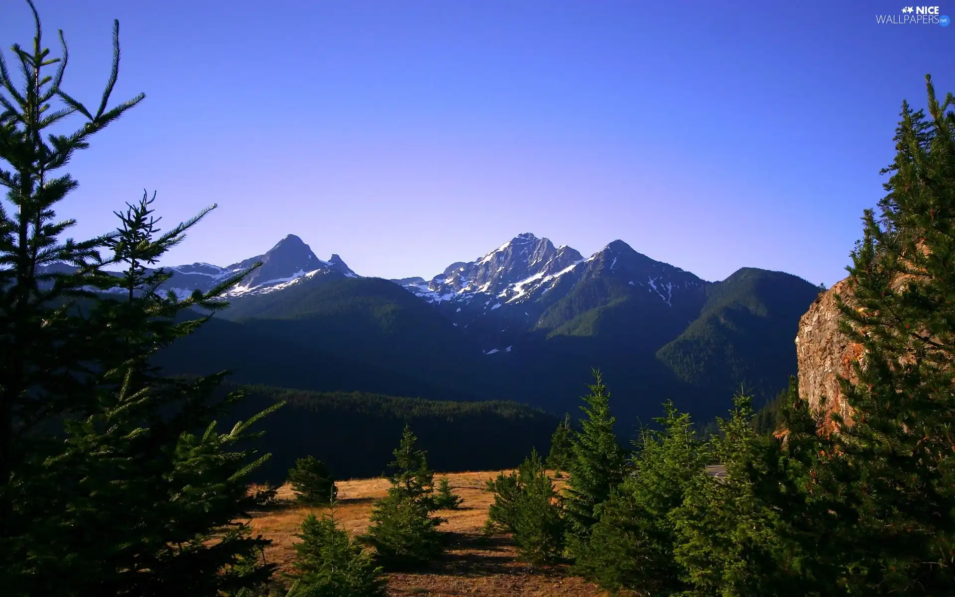 viewes, Mountains, trees