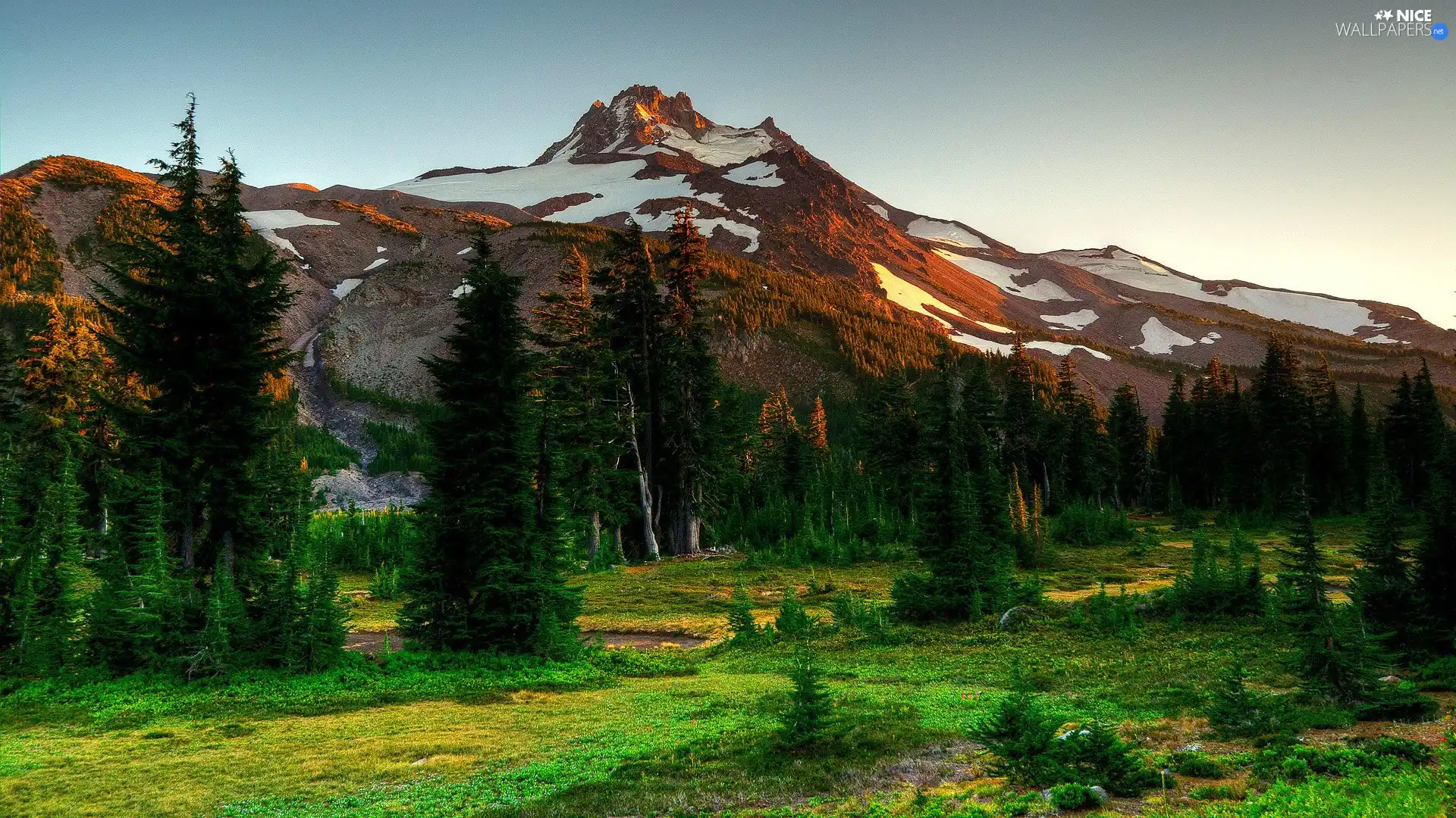 viewes, Mountains, trees