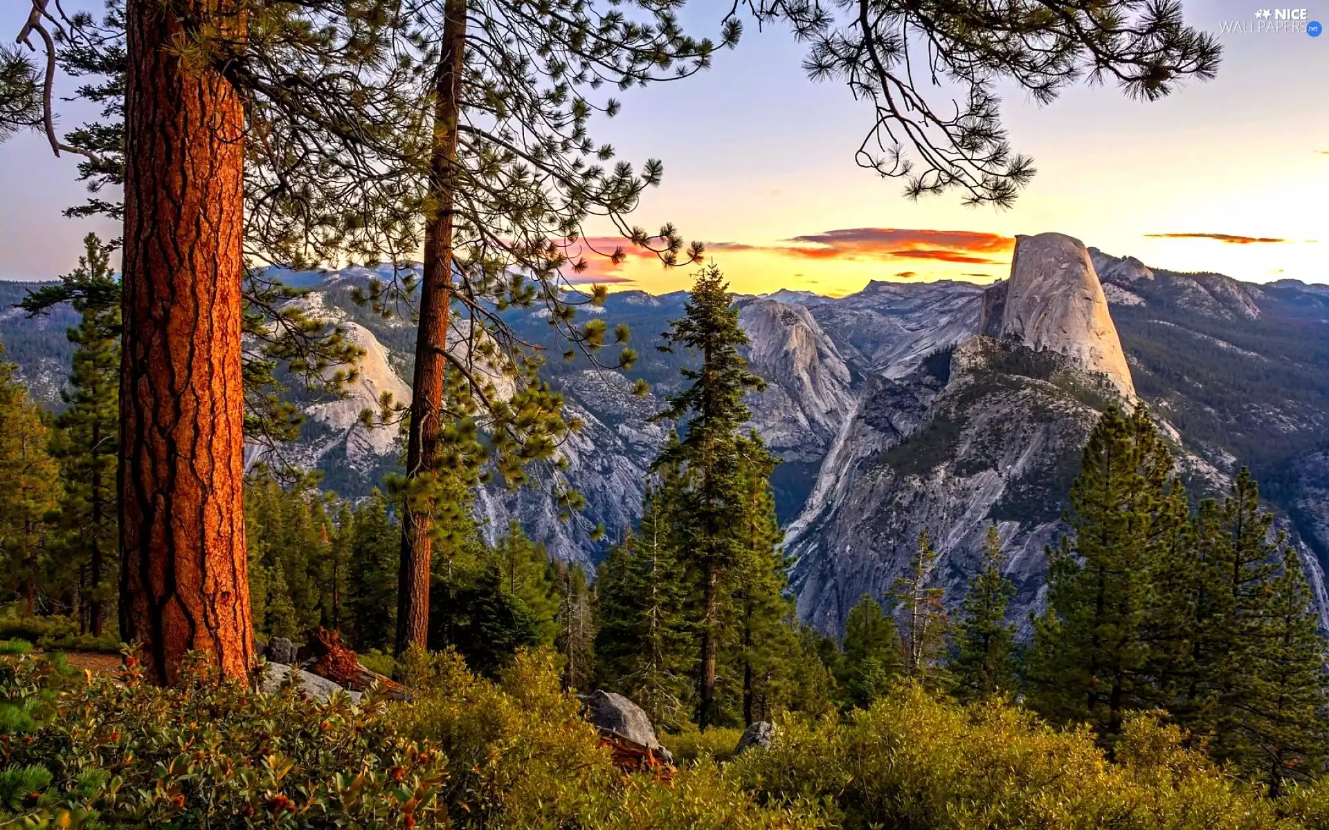 trees, Mountains, rocks, viewes