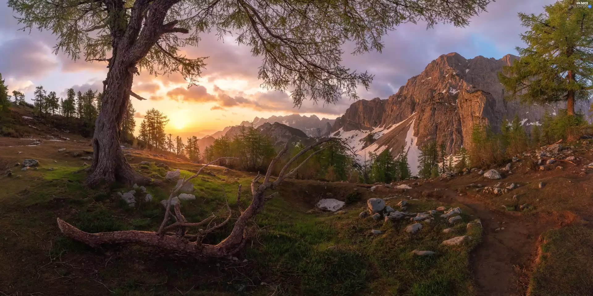 Julian Alps, Slovenia, viewes, Mountains, trees