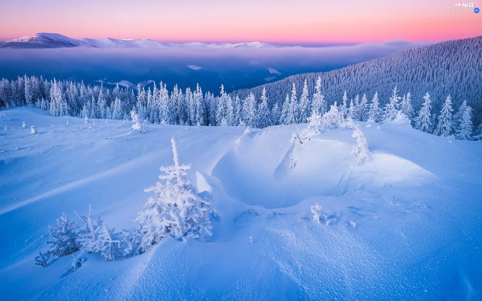 Mountains, snow, trees, Snowy, winter, The Hills, viewes