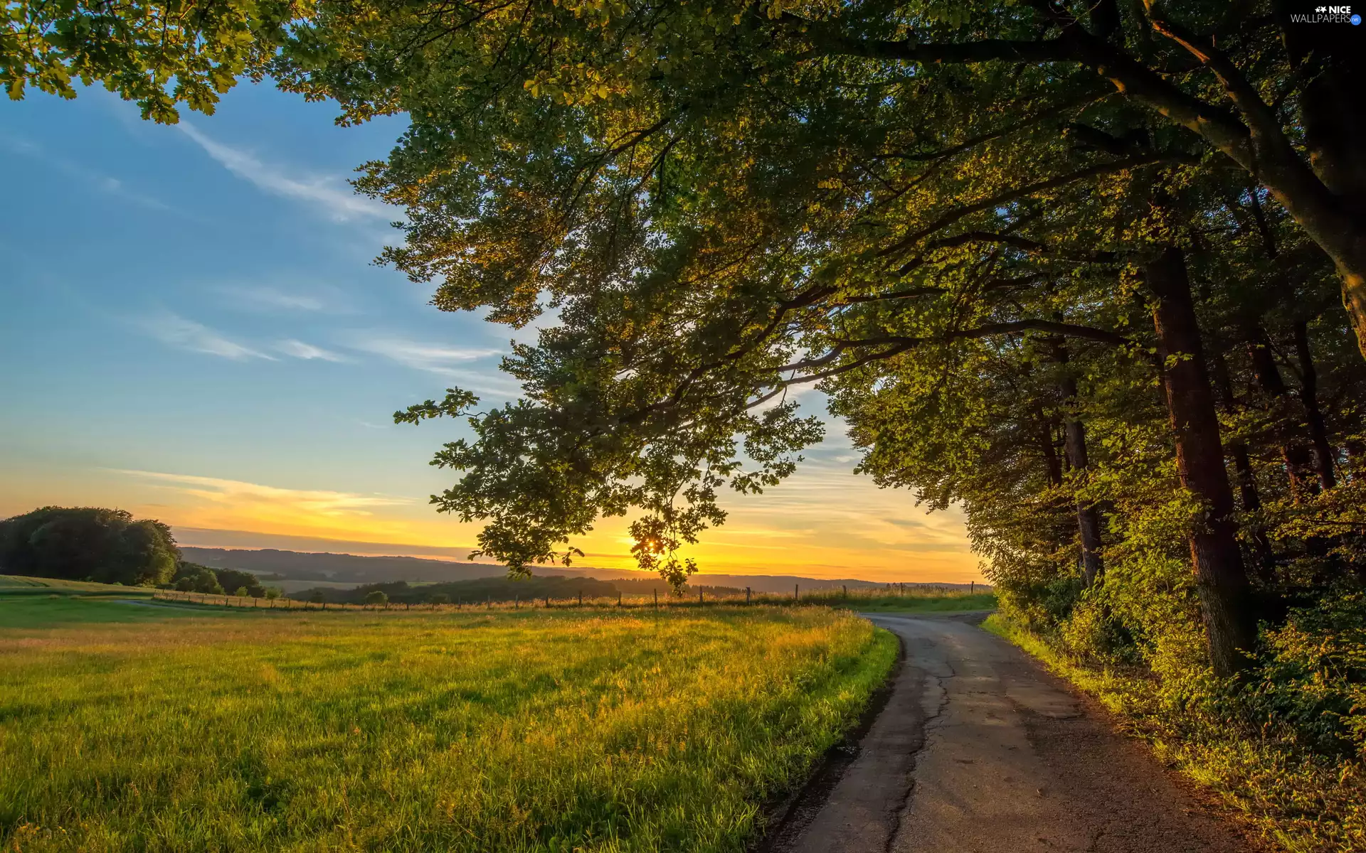 Meadow, Great Sunsets, viewes, Way, trees