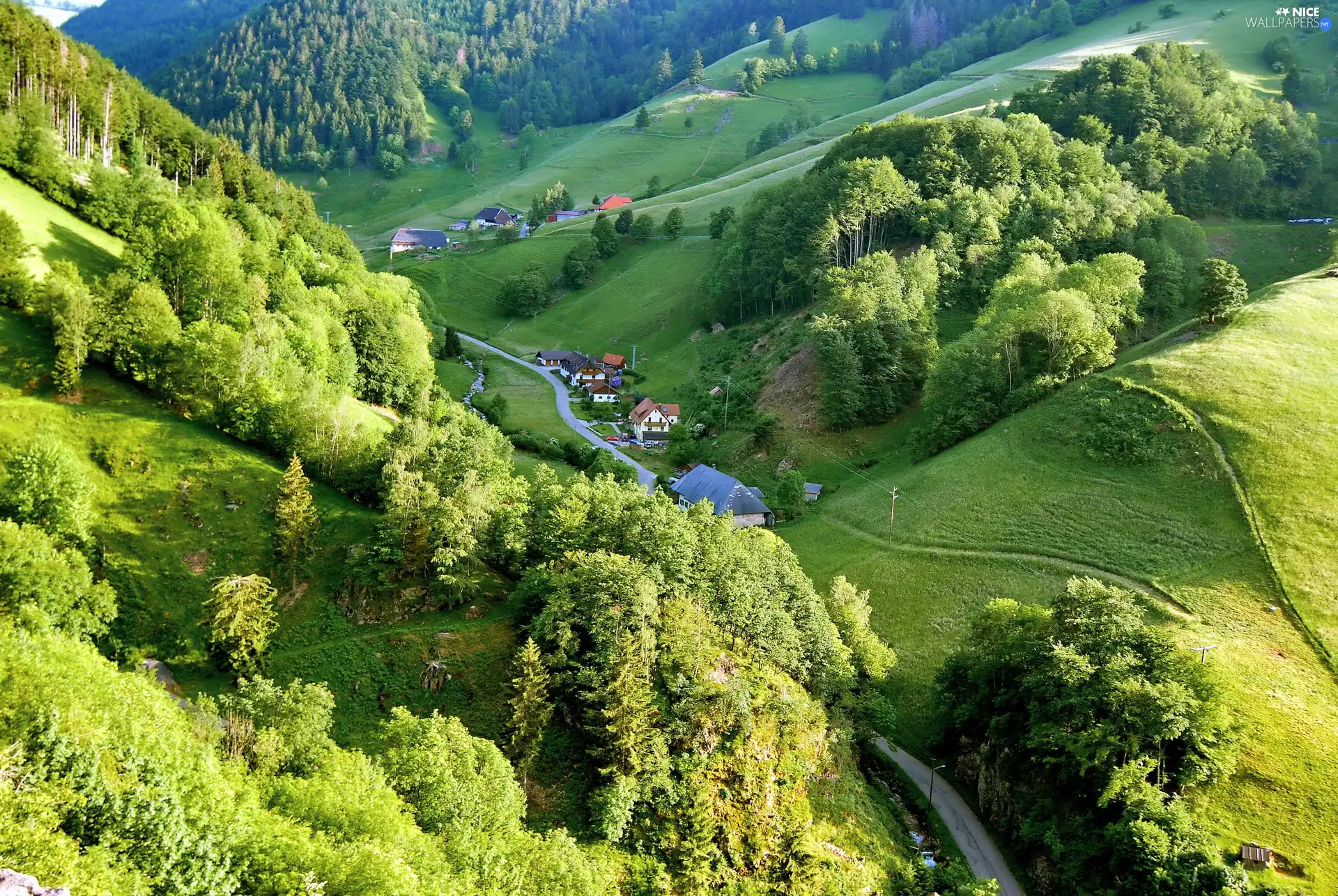 viewes, Way, Valley, Black Forest Village, Mountains, trees