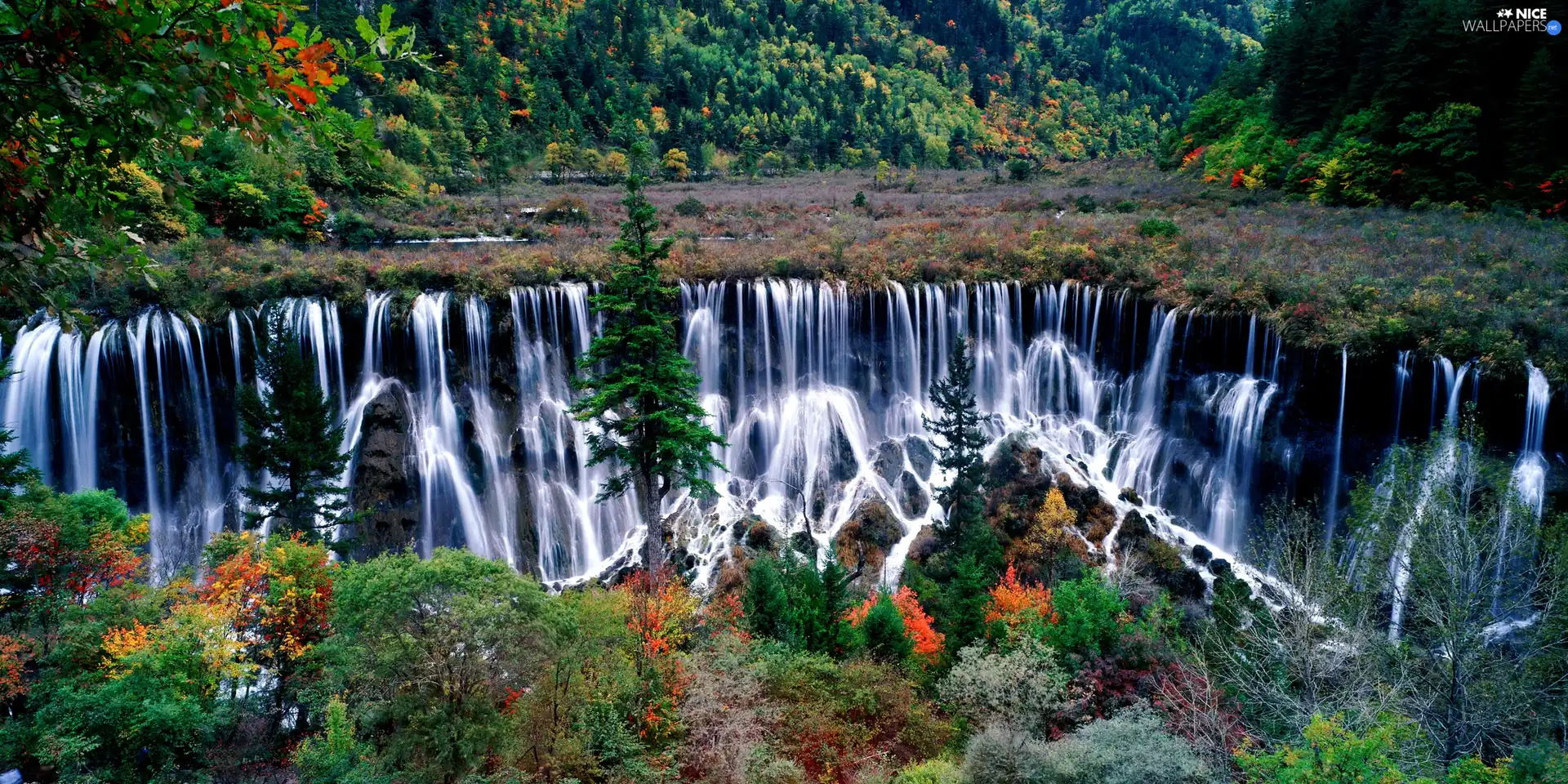 viewes, waterfall, trees