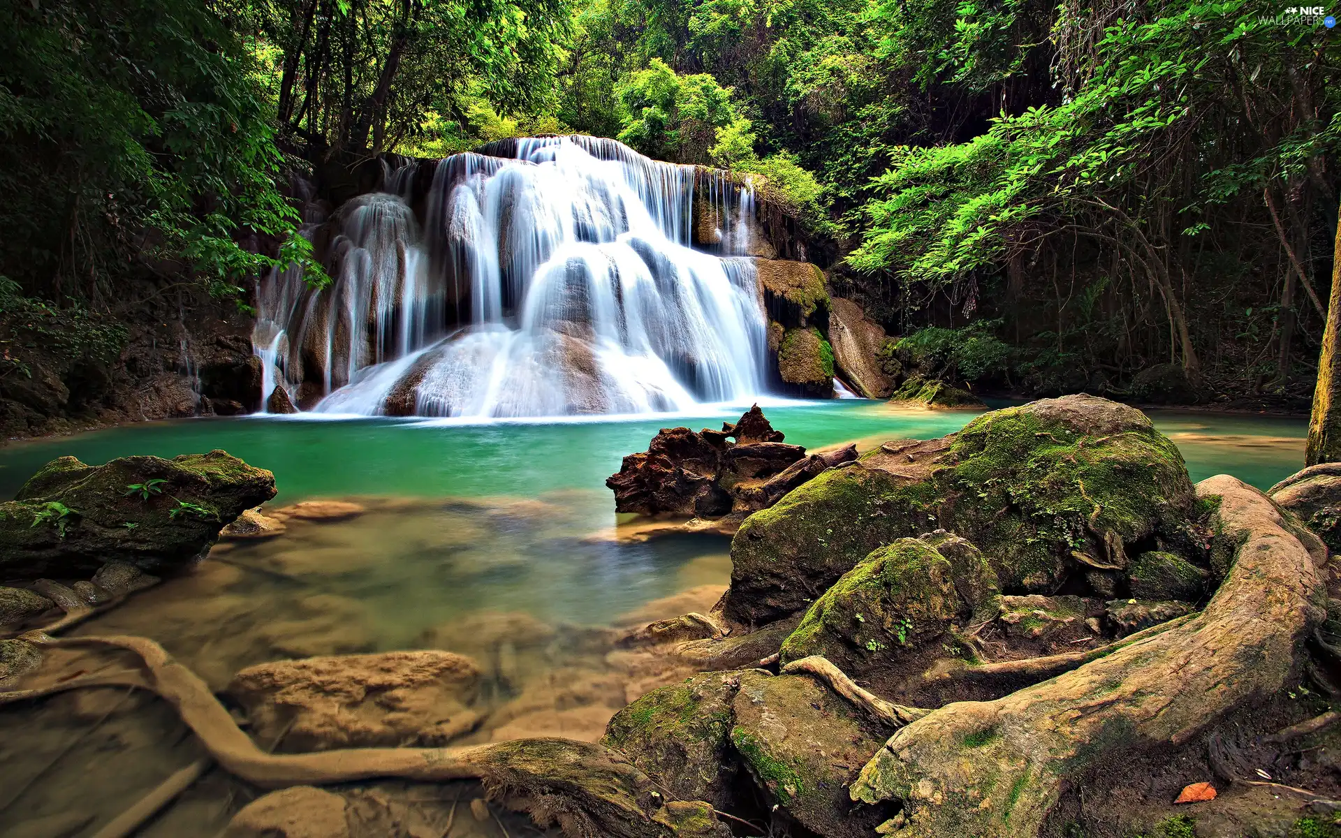 viewes, waterfall, trees