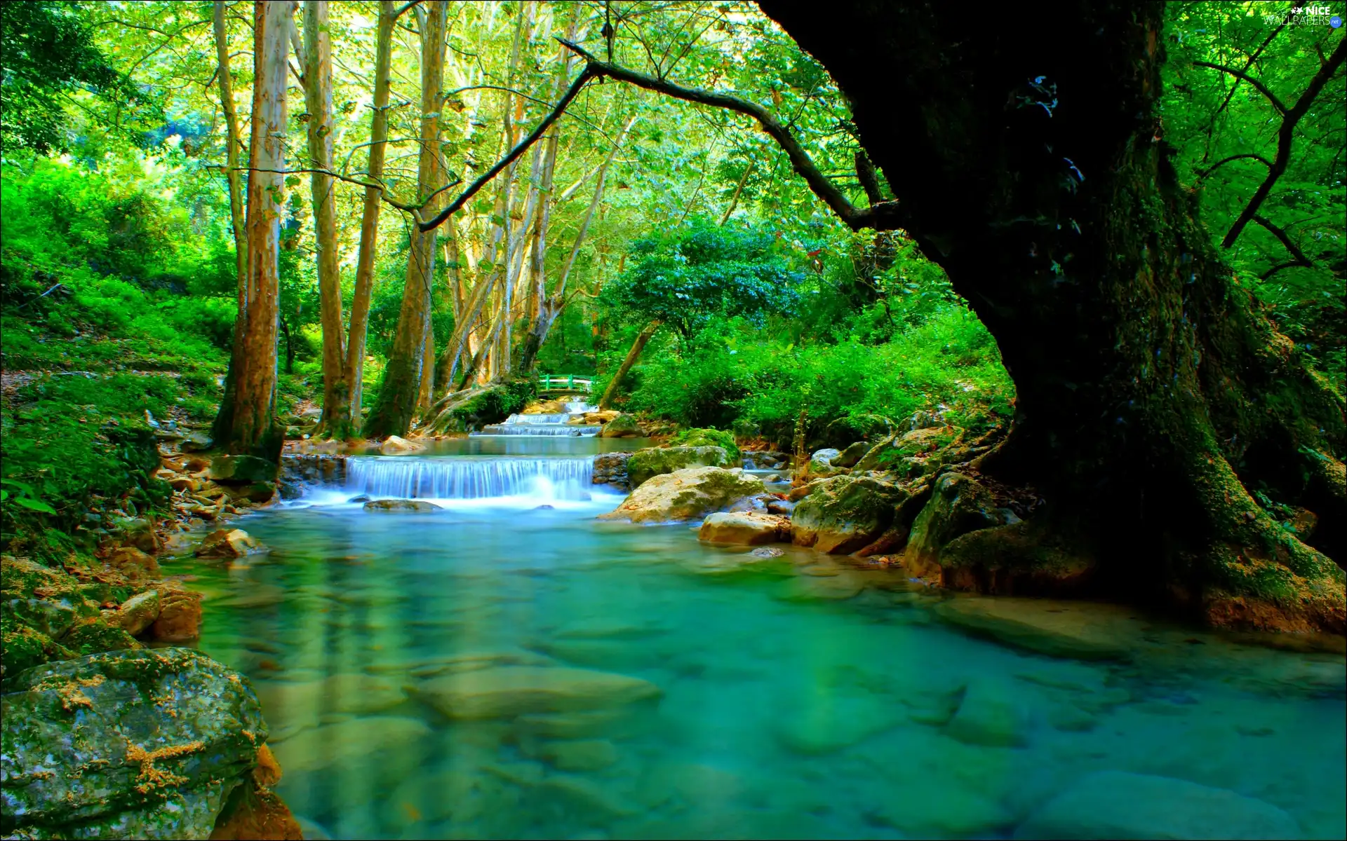 viewes, waterfall, trees