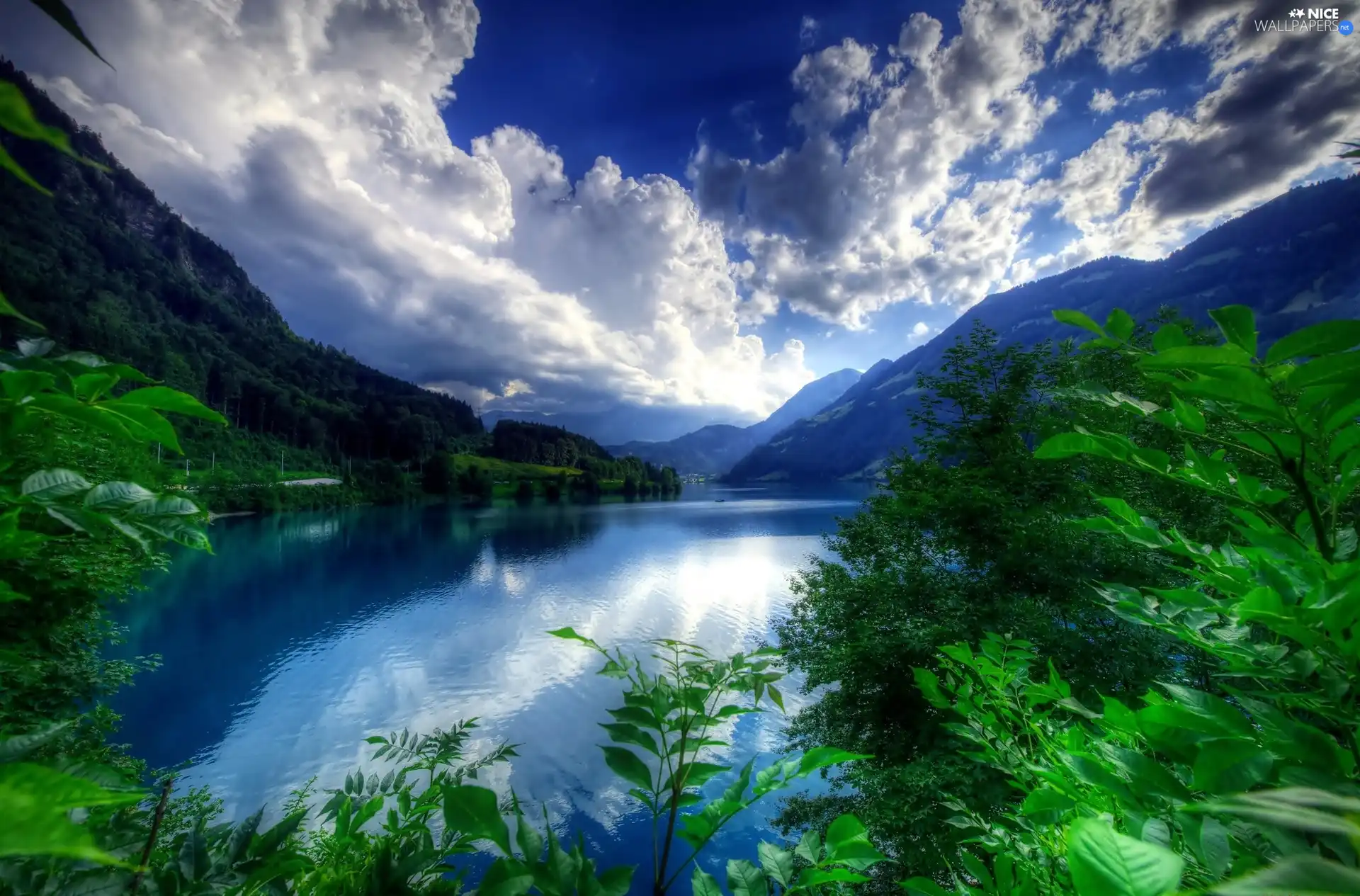 trees, viewes, cruise, Mountains, Ship, lake, Blue, woods