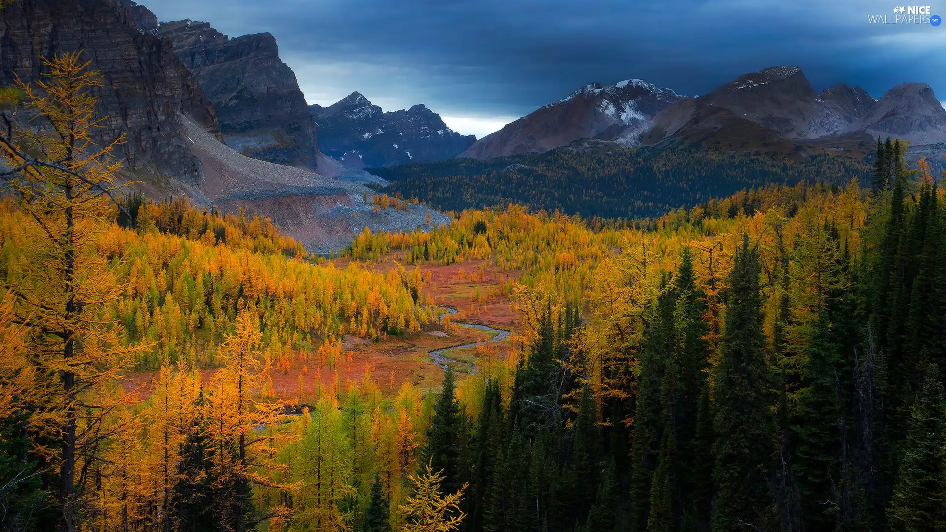 trees, viewes, Valley, forest, Mountains