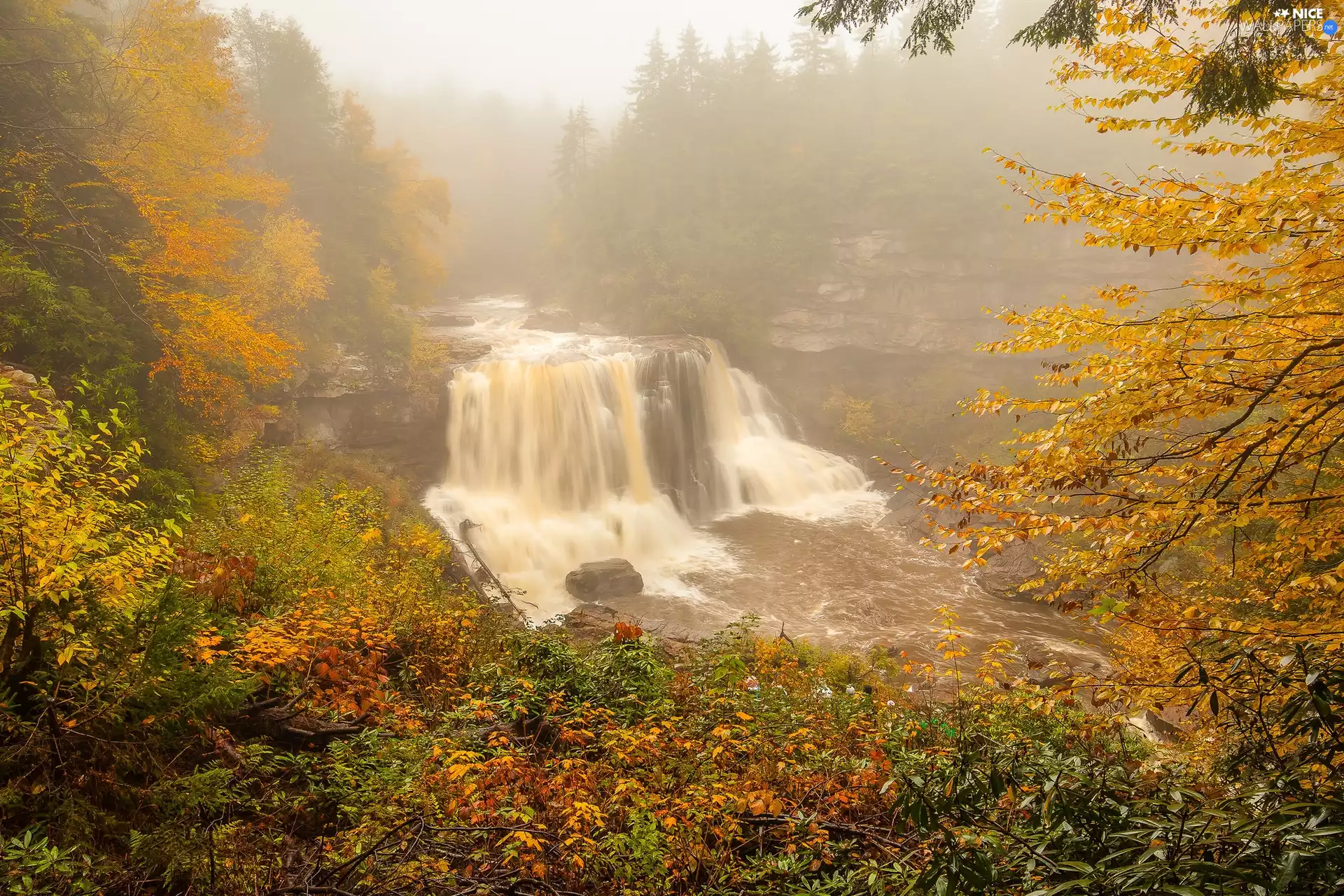 waterfall, Fog, vegetation, trees, rocks, River, autumn, viewes