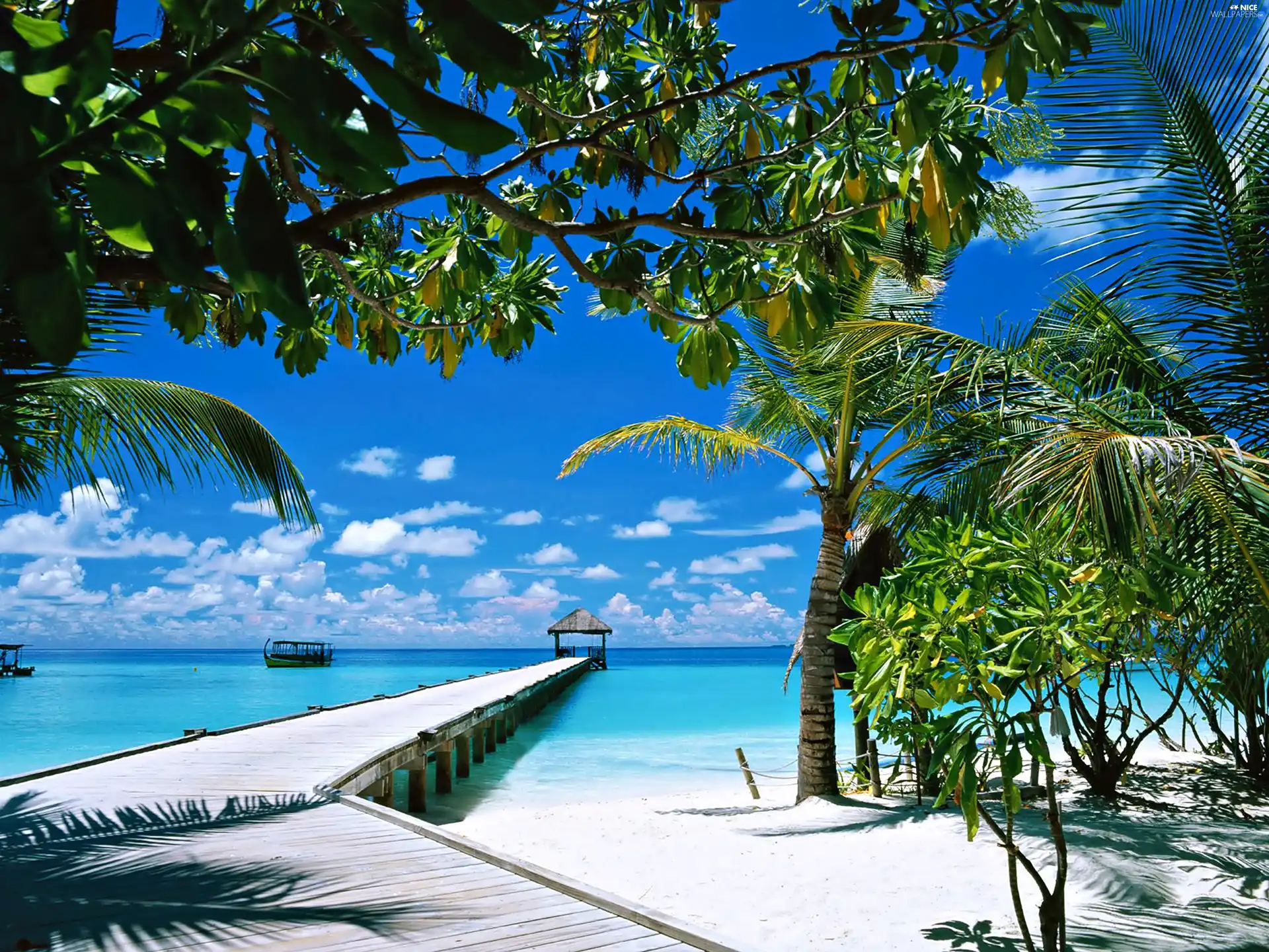 water, trees, viewes, pier