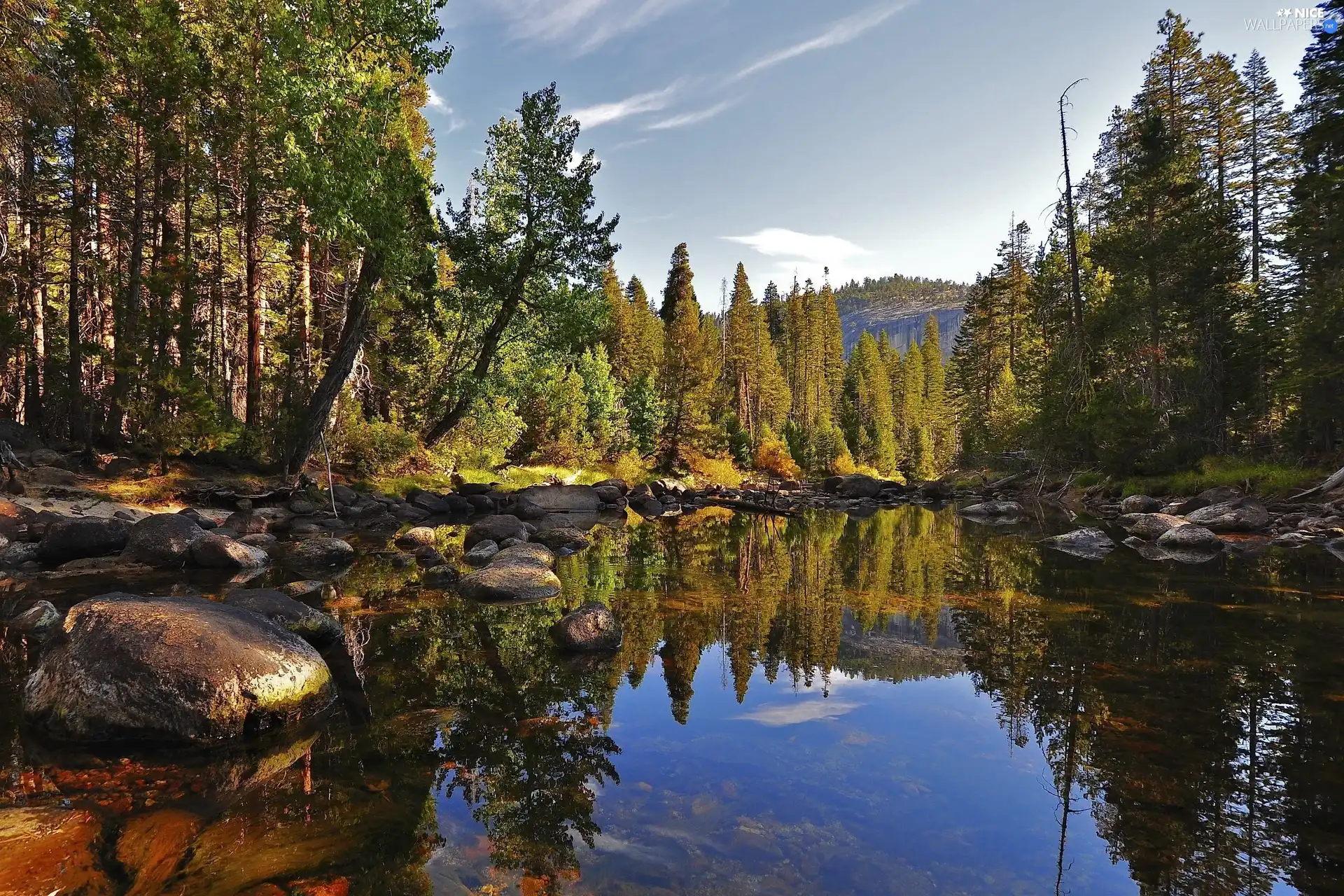 water, trees, viewes, Stones