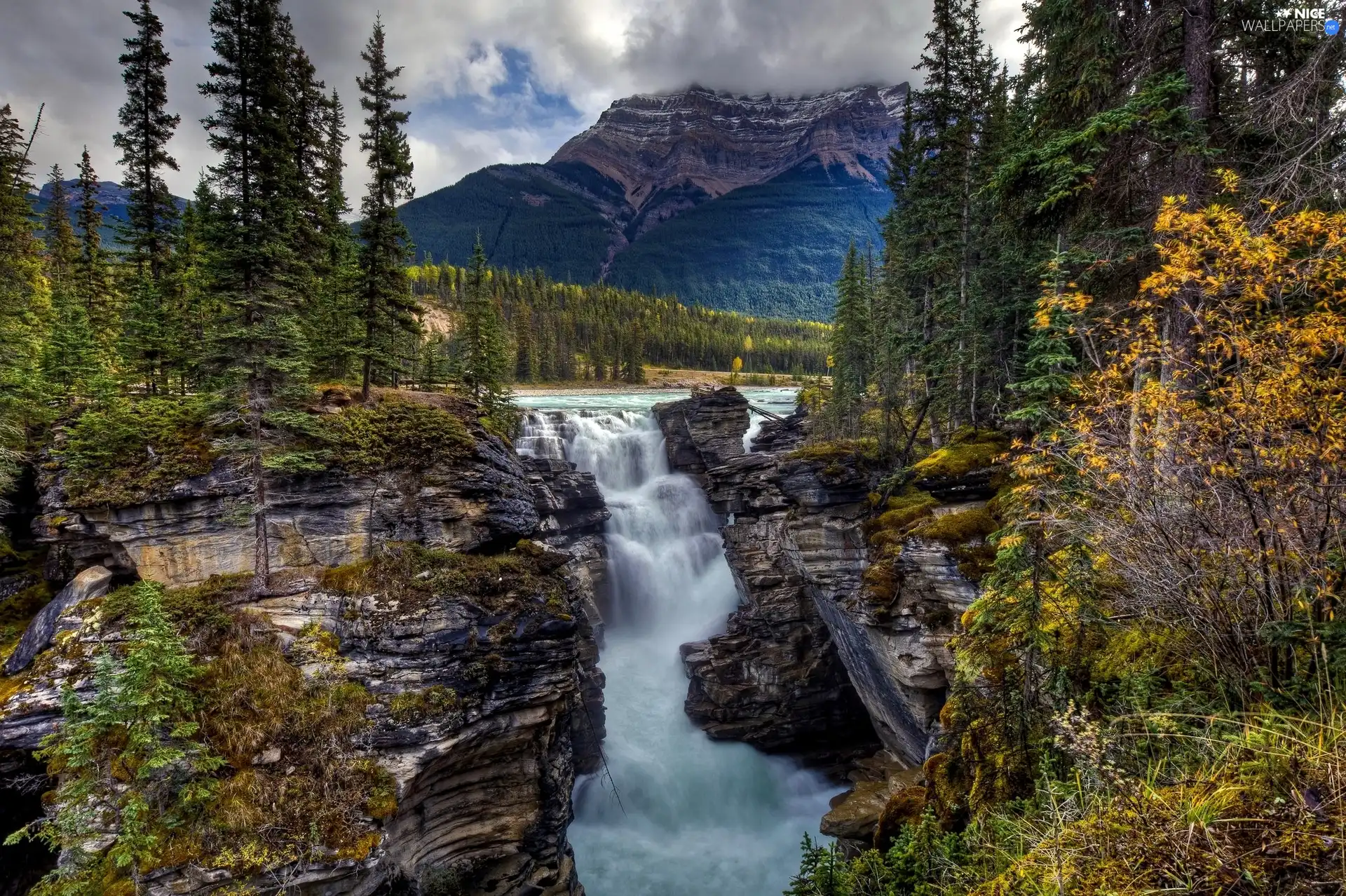 viewes, waterfall, rocks, trees, Mountains