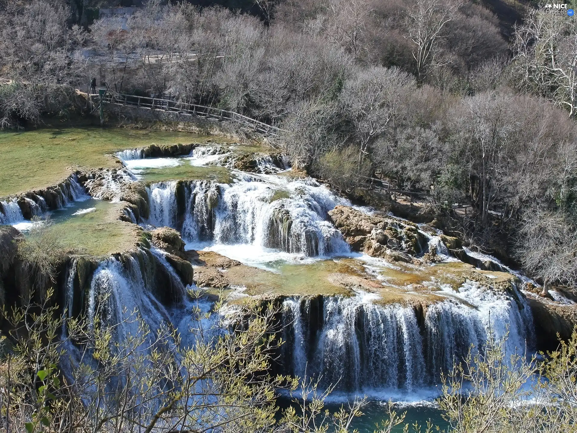 waterfall, trees, viewes, forest