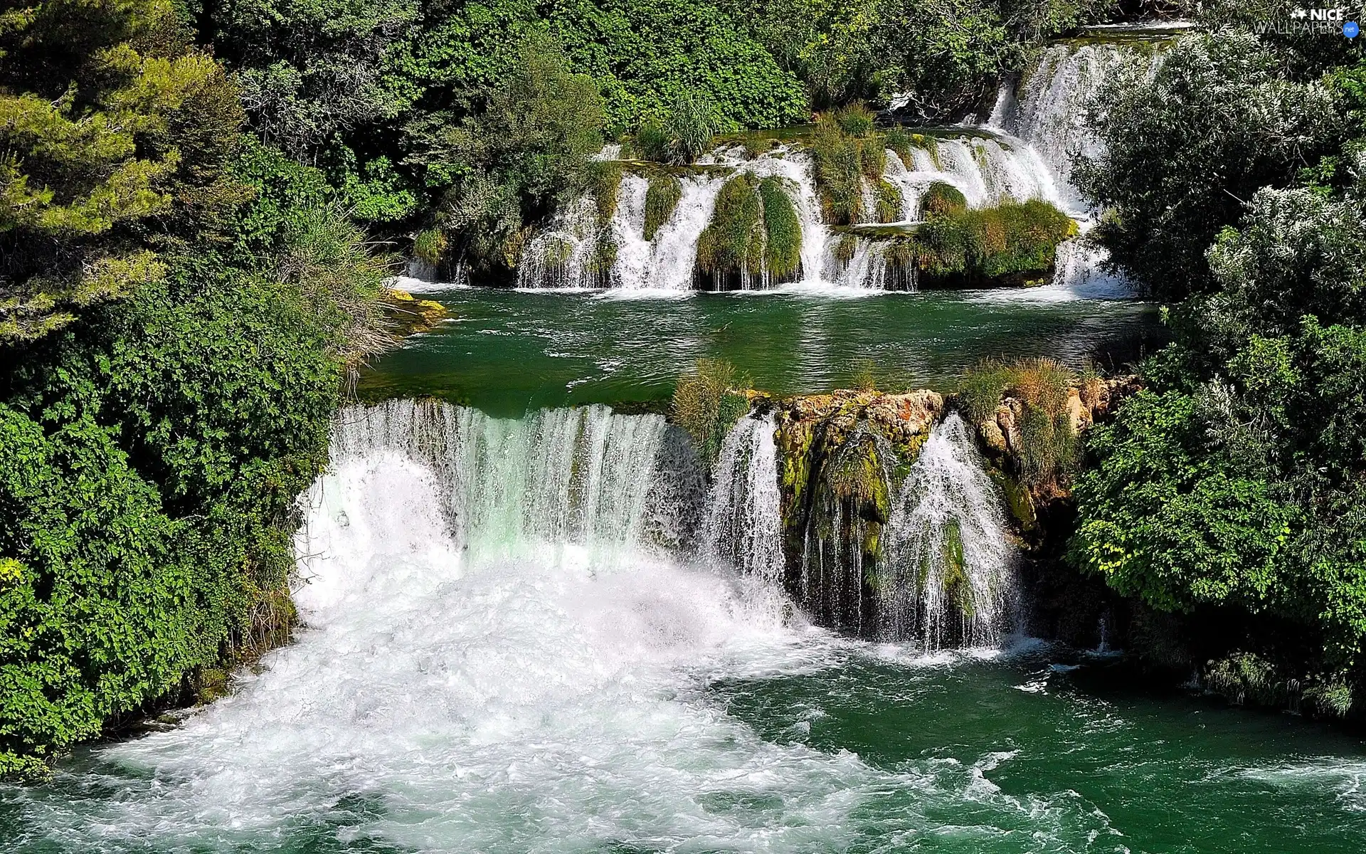 waterfall, trees, viewes, forest