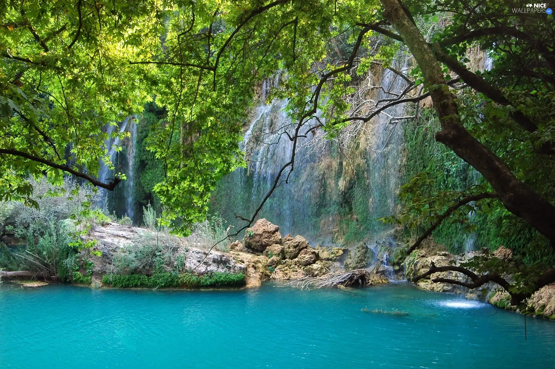 waterfall, trees, viewes, lake