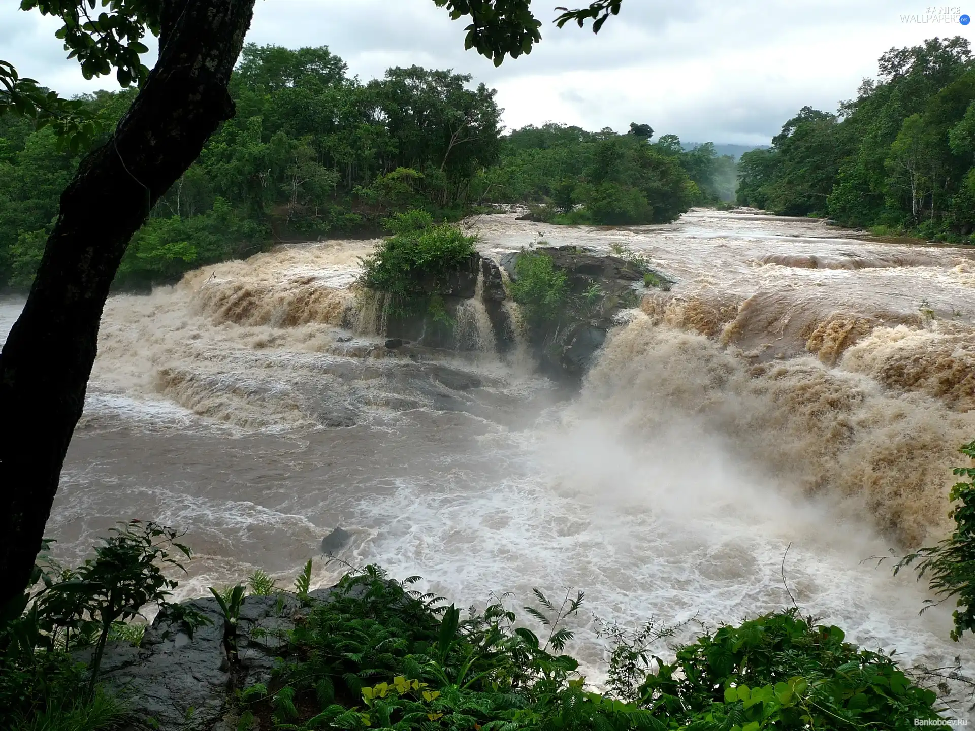 waterfall, trees, viewes, River