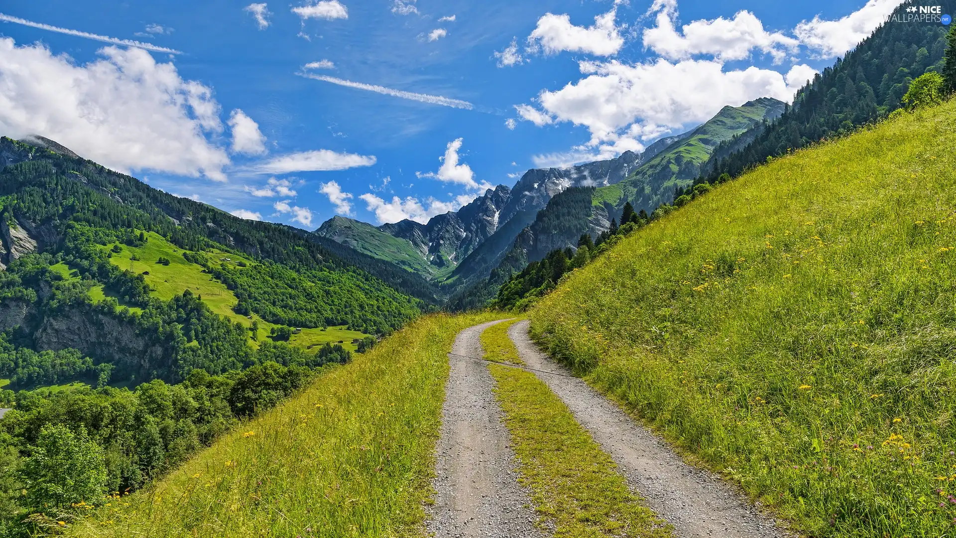 viewes, The Hills, Swiss Alps, trees, Way, Mountains, Switzerland