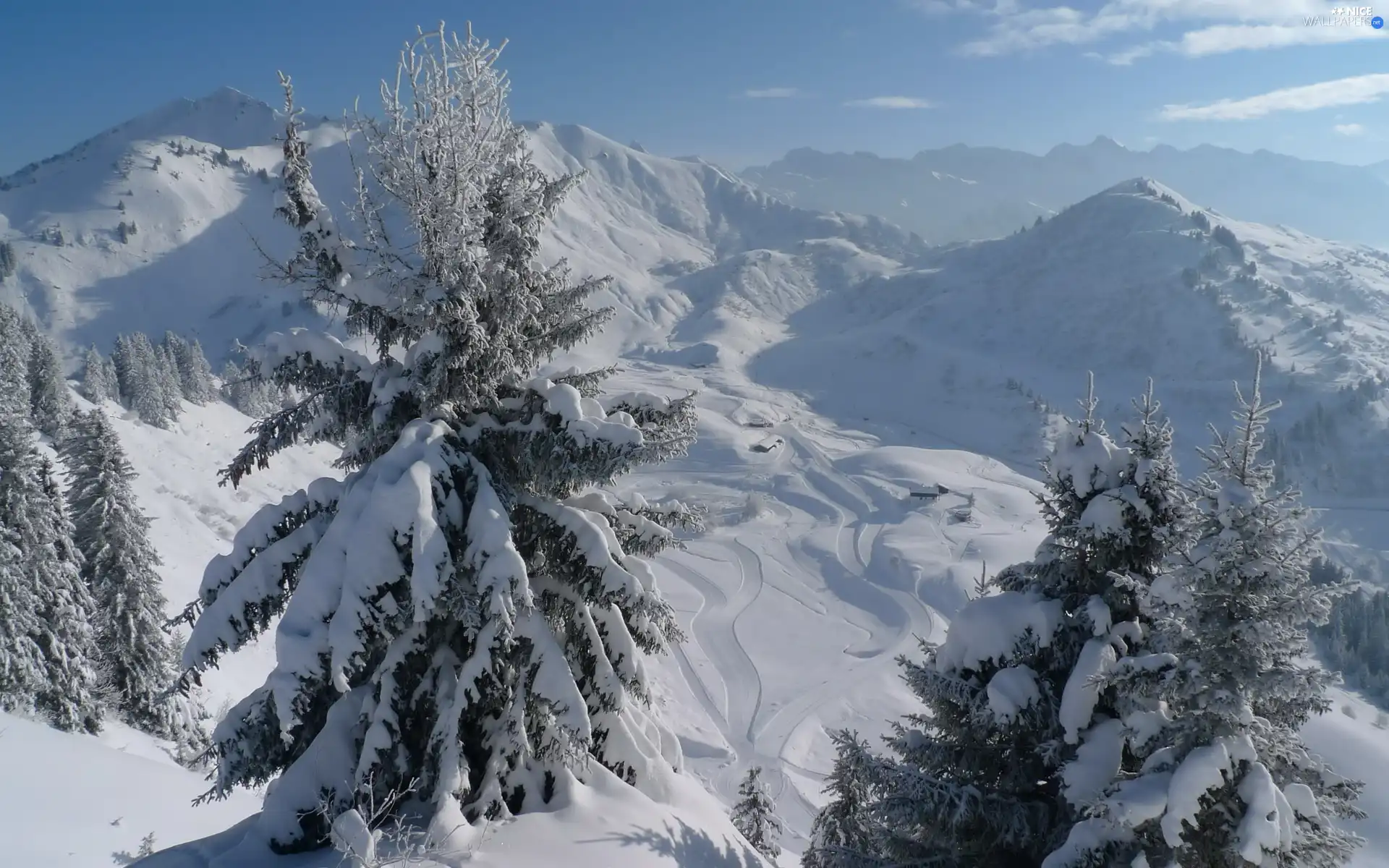 viewes, winter, peaks, trees, Mountains