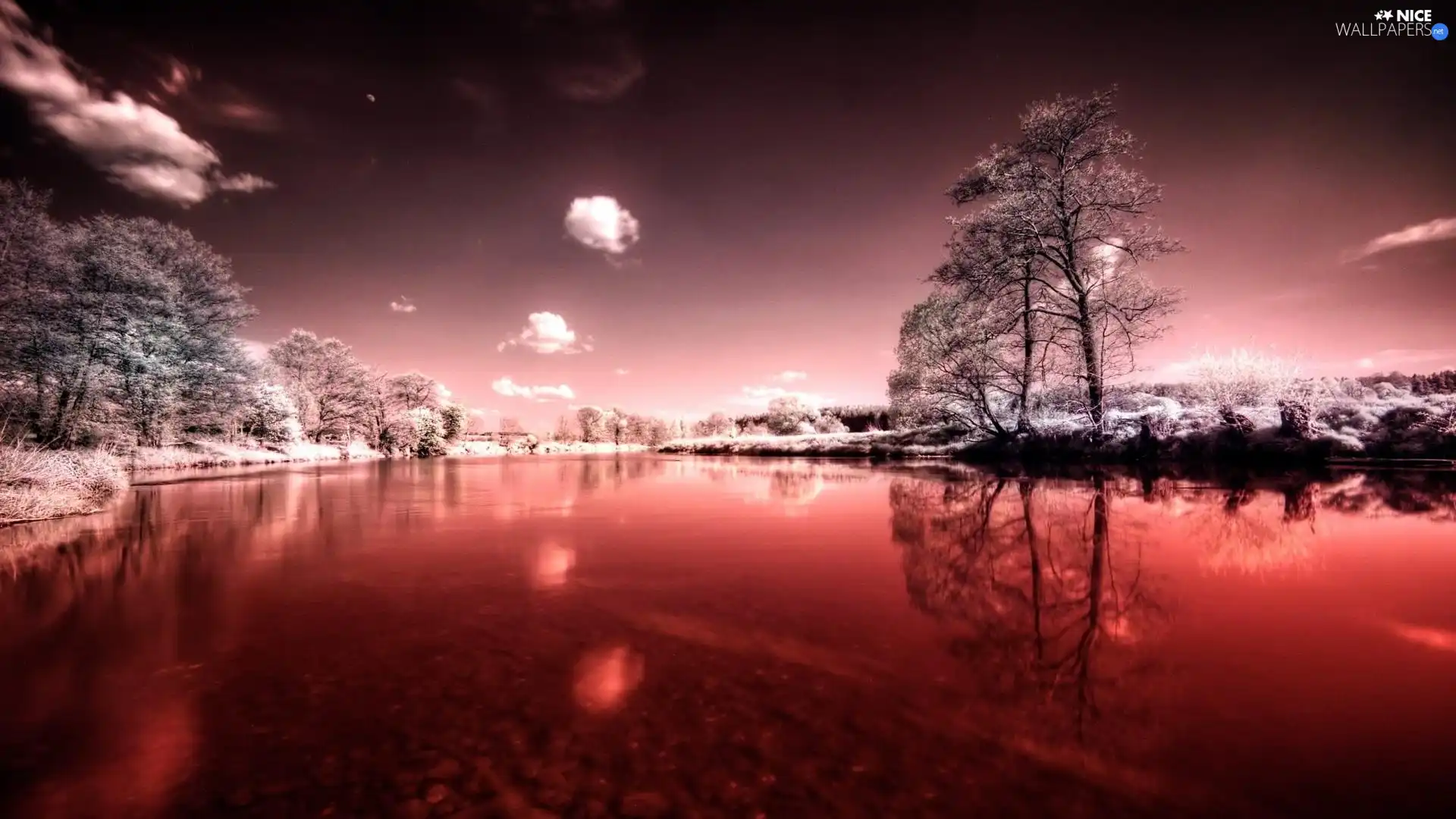 viewes, winter, River, trees, red hot