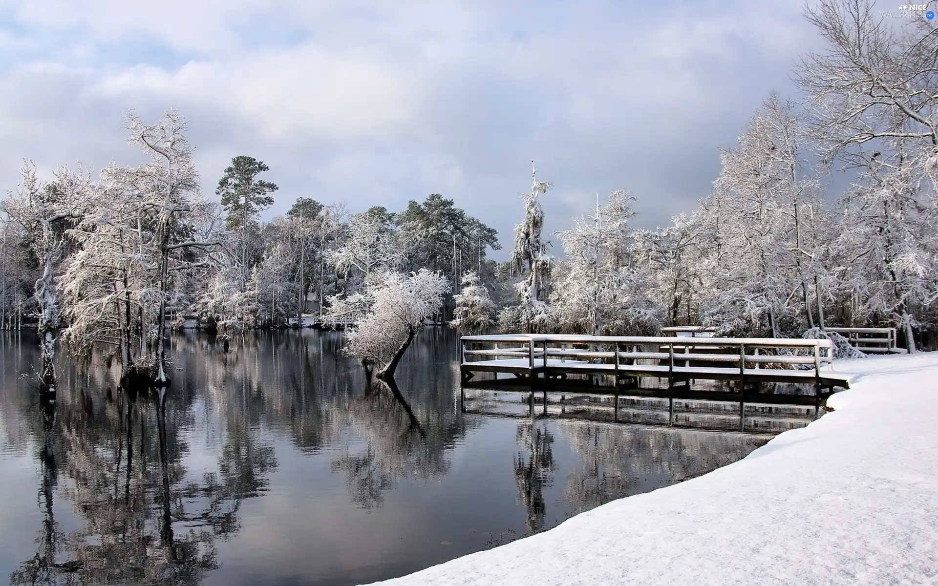 viewes, winter, bridge, trees, River