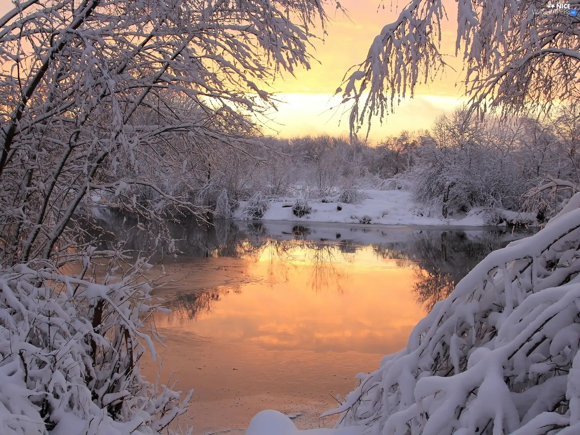 winter, trees, viewes, River