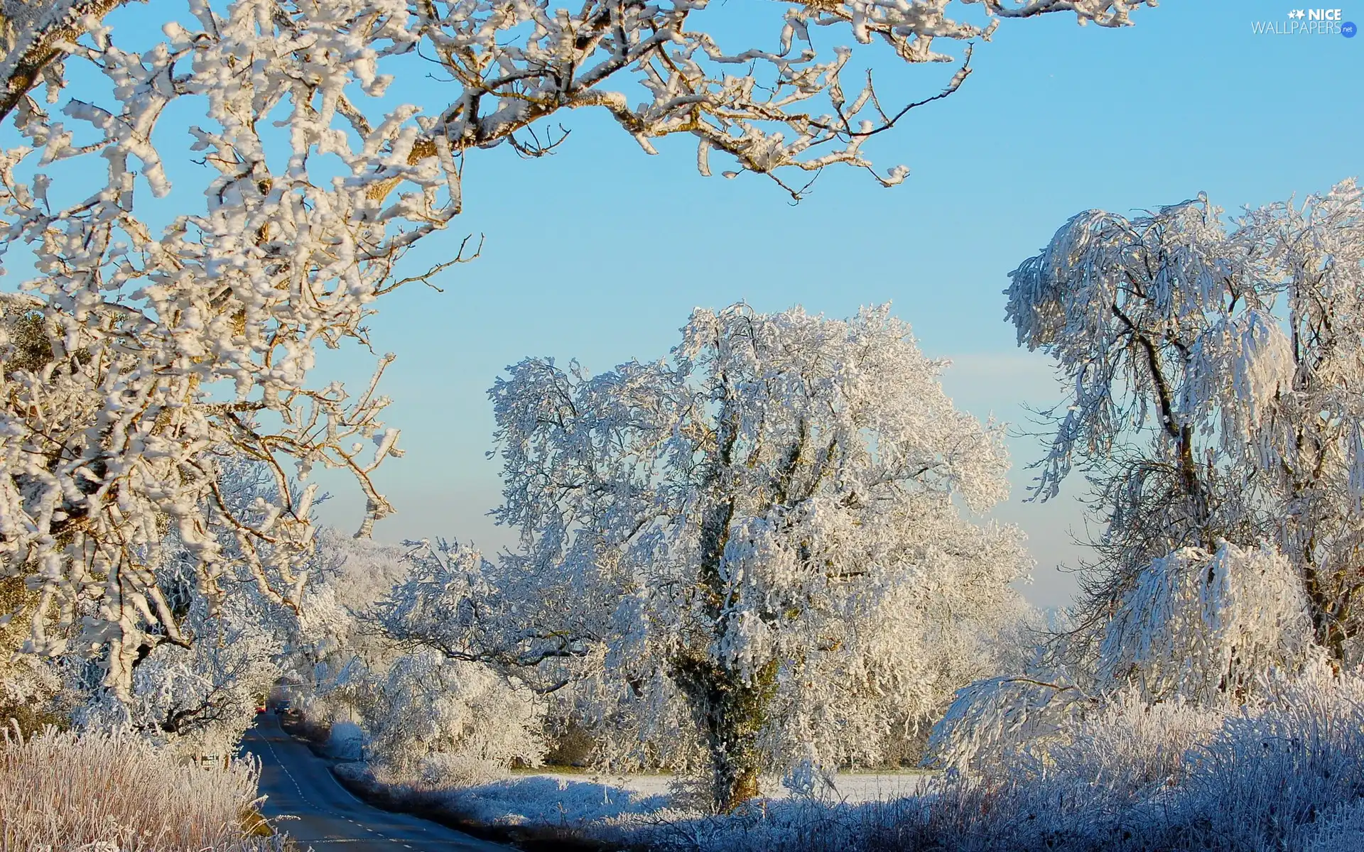 viewes, winter, Snowy, trees, Way