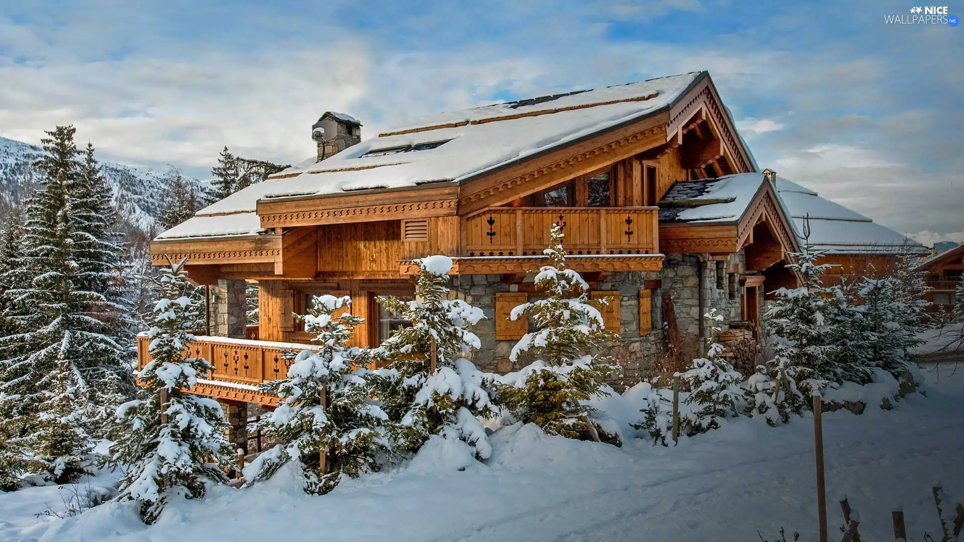 viewes, winter, house, trees, wooden