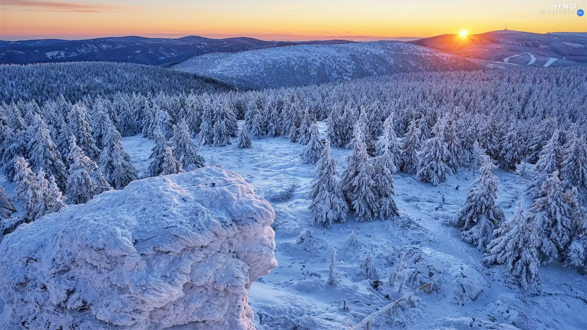 Sunrise, snow, woods, trees, Snowy, Mountains, winter, viewes
