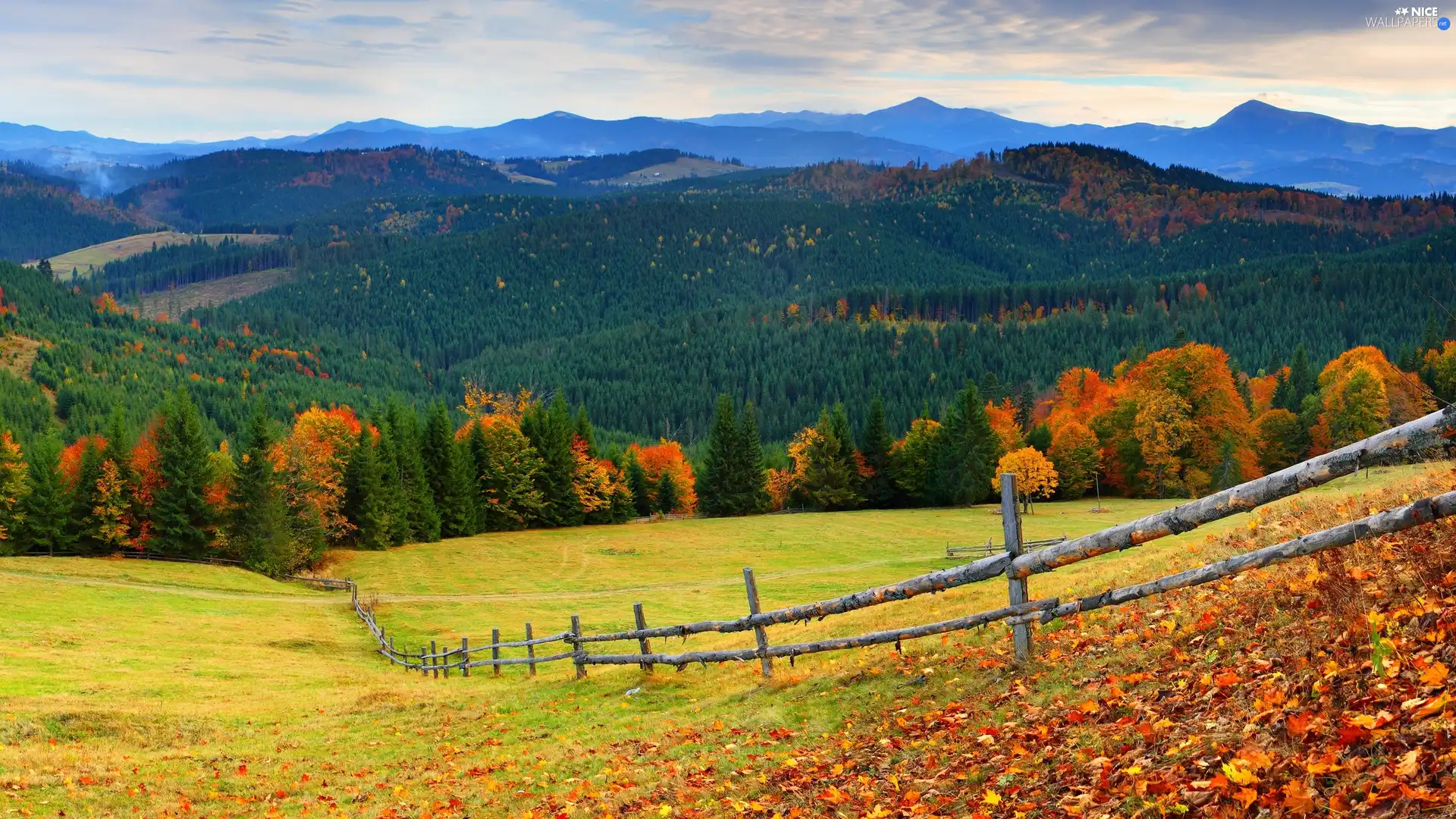 fence, trees, woods, viewes, medows, Mountains, autumn