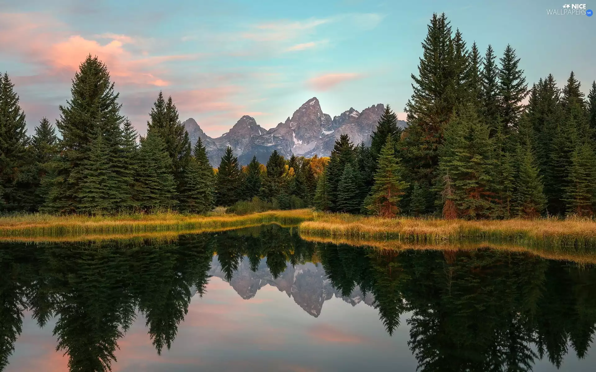 Snake River, Grand Teton National Park, Teton Range Mountains, forest, State of Wyoming, The United States, viewes, reflection, trees