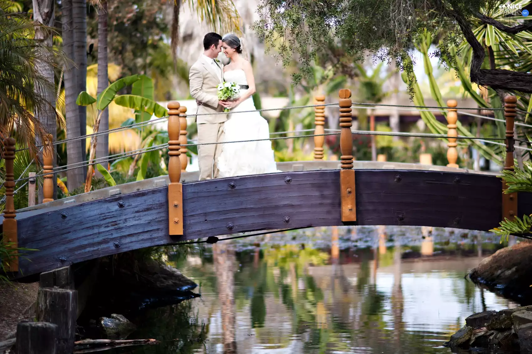 bridges, Steam, trees, viewes, water, young