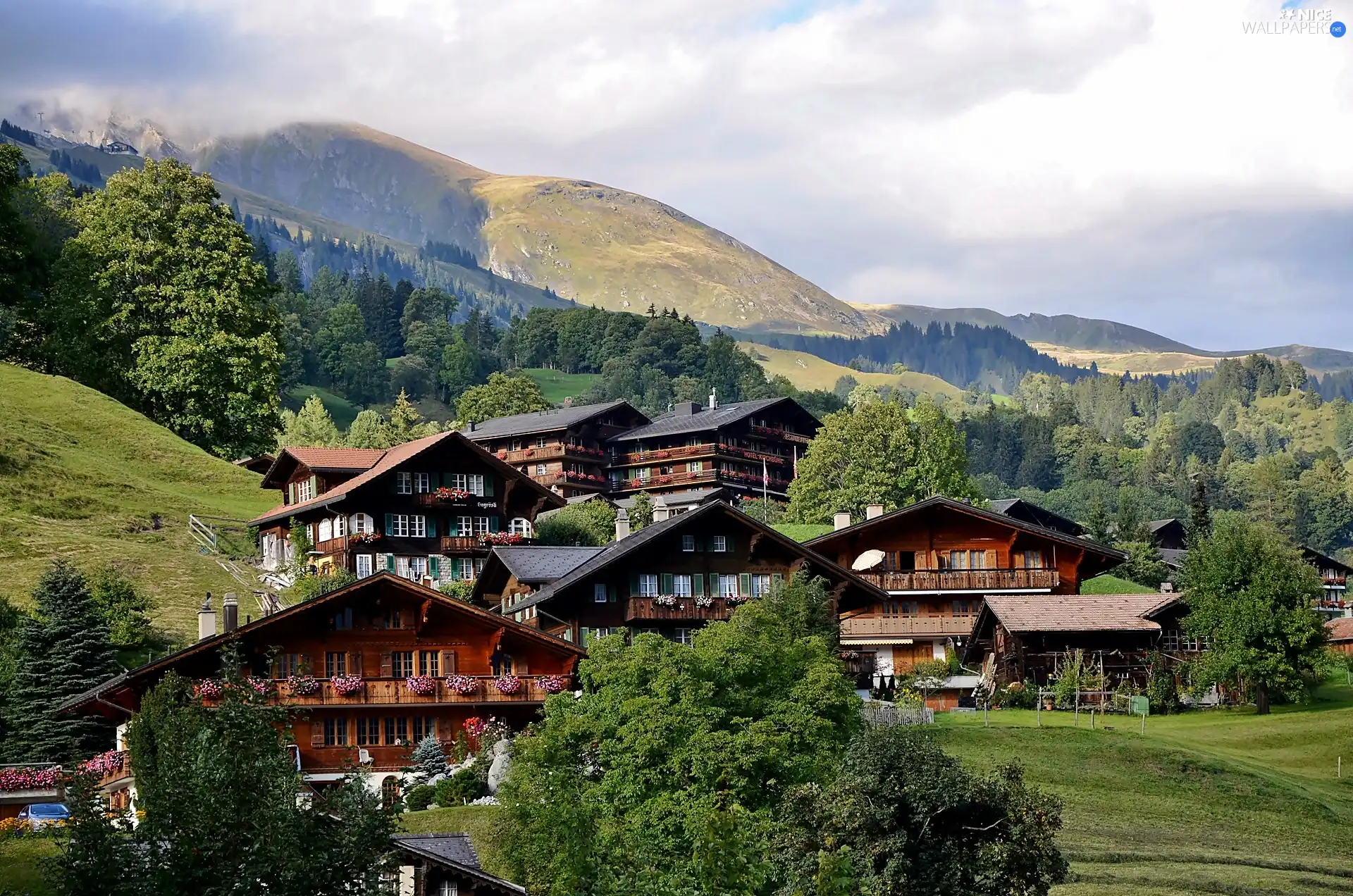 village, Grindelwald, woods, medows, Alps