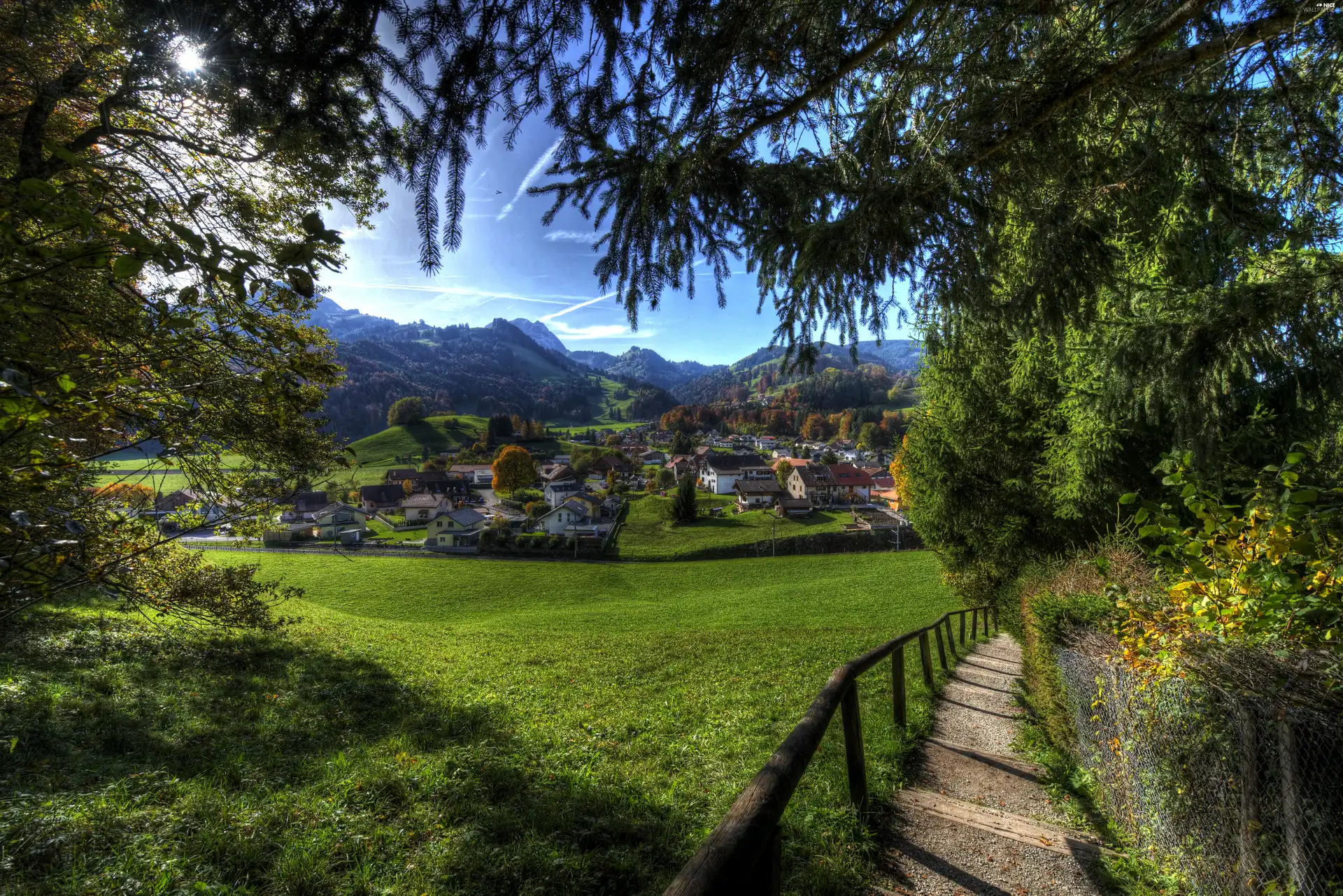 Meadow, Way, village, Switzerland, Houses, forest