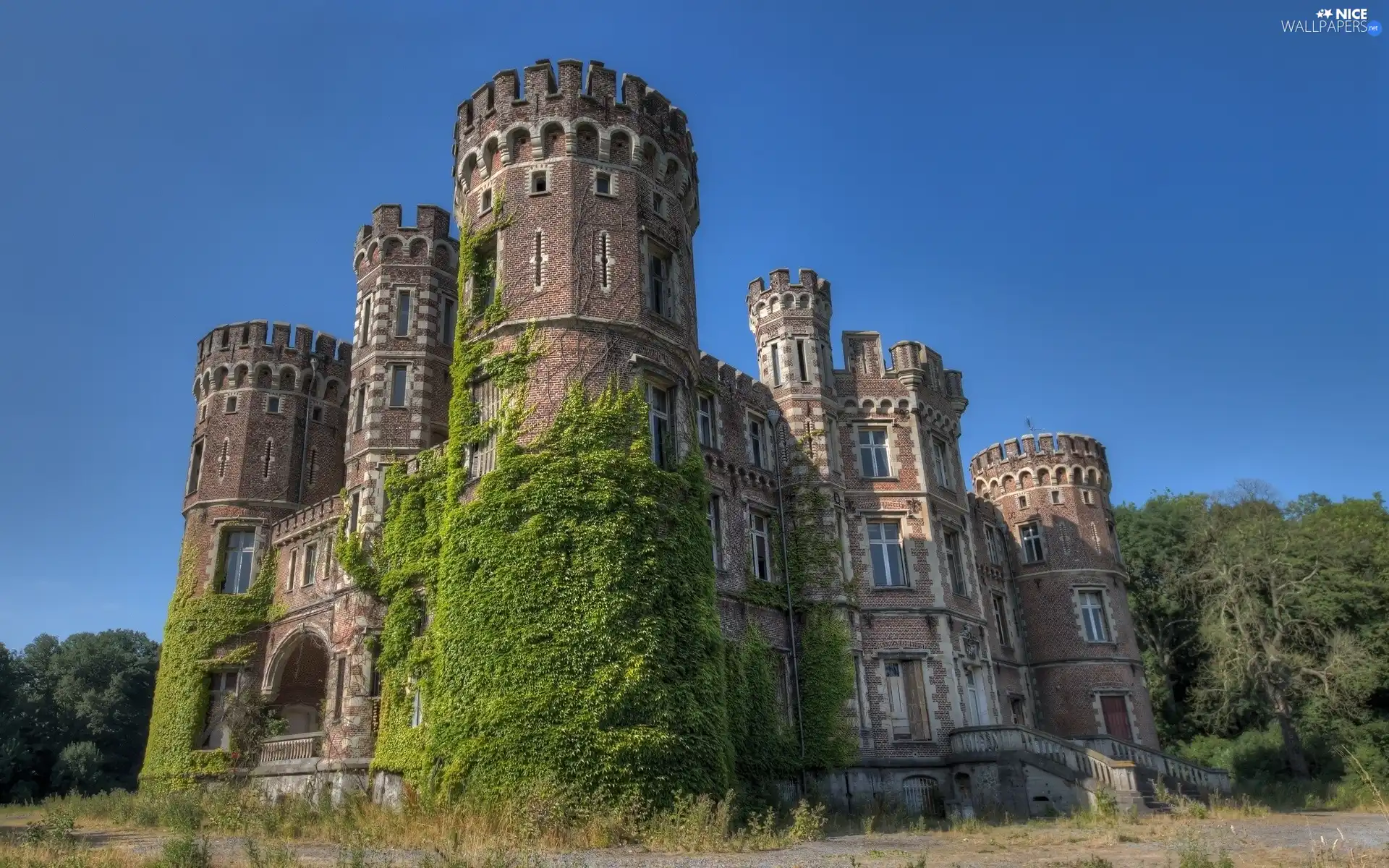 Chateau De La Foret, Castle, grape-vine, Belgium