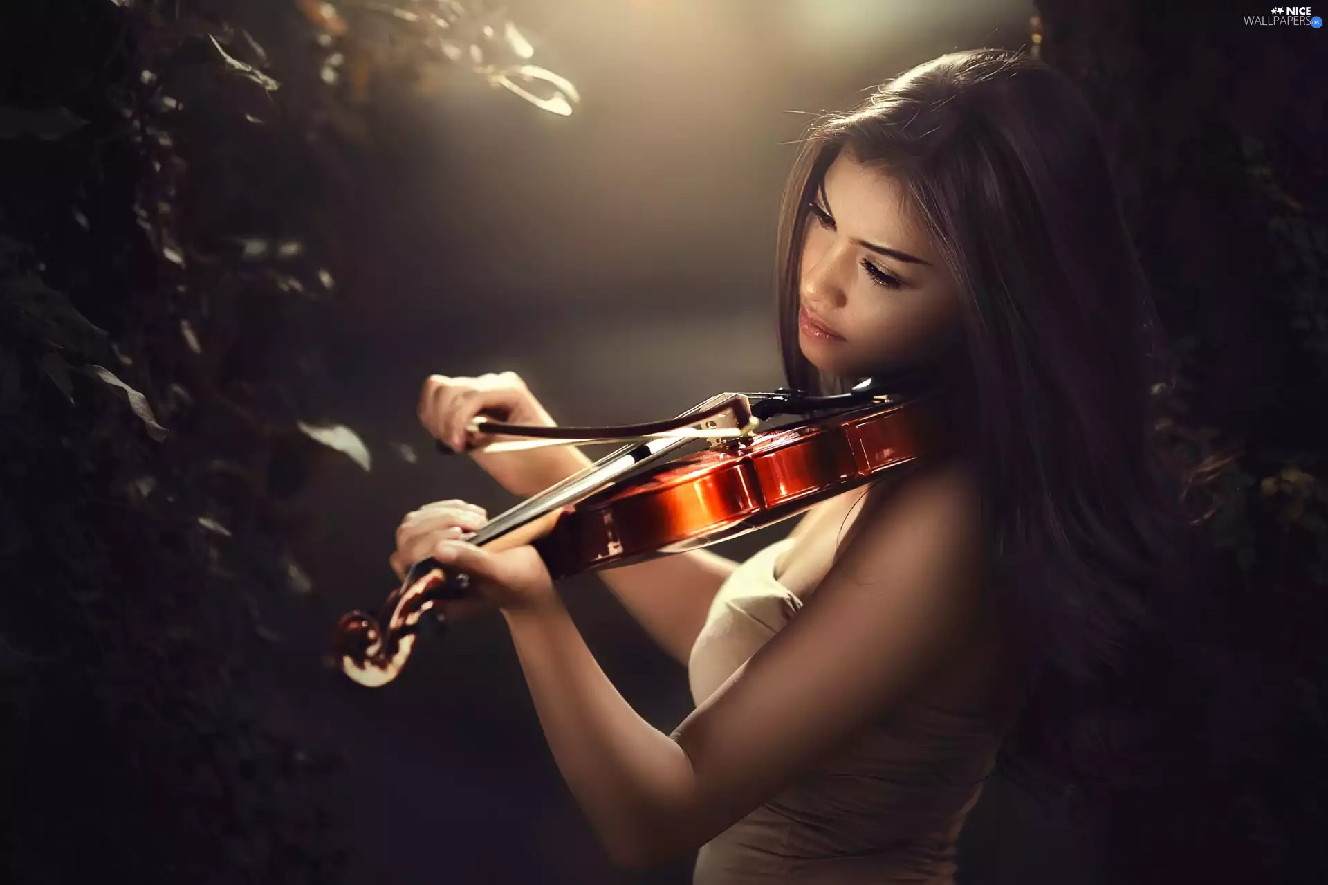glow, Women, viewes, violin, trees, brunette