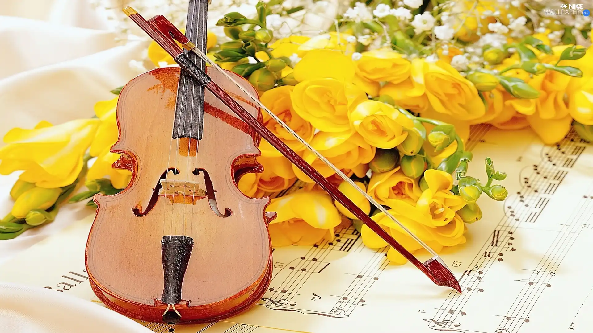 Yellow, Tunes, violin, roses