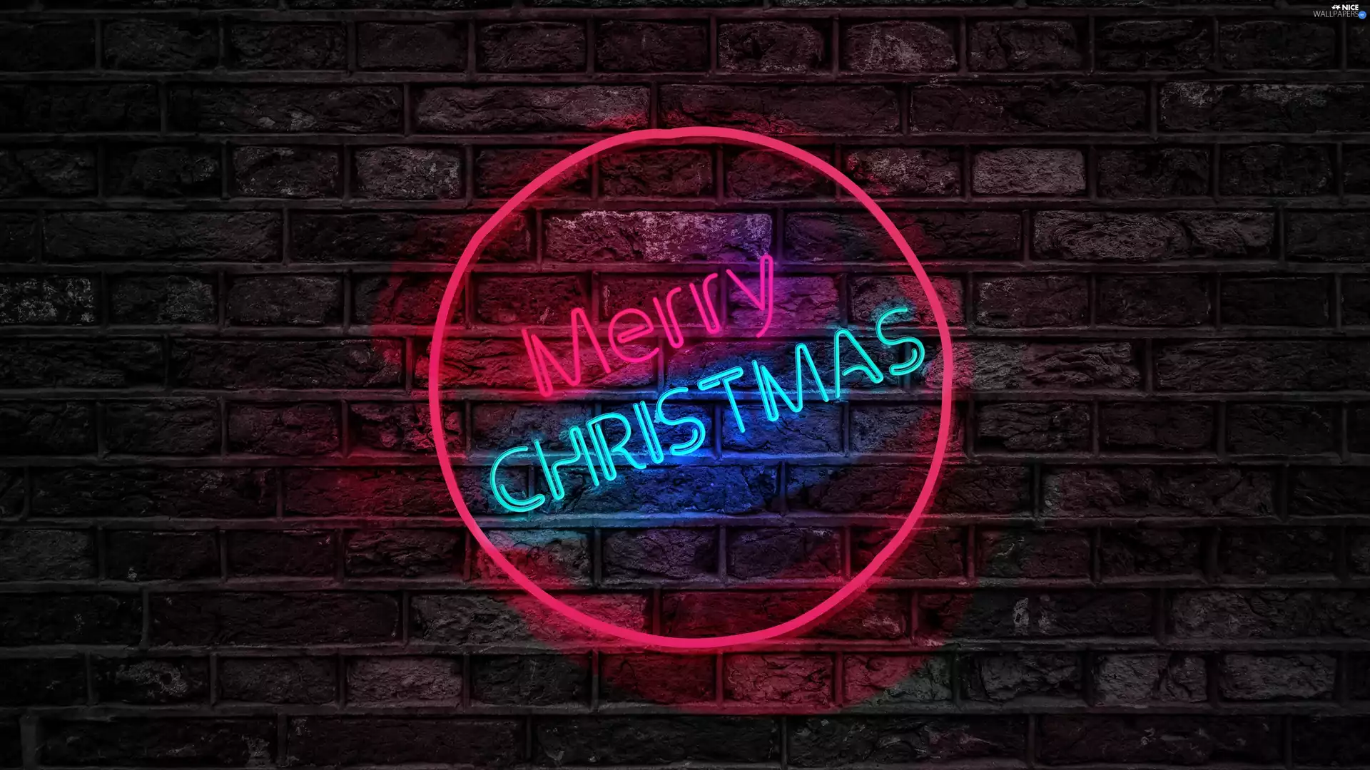 Neon, wall, text, ##, Christmas