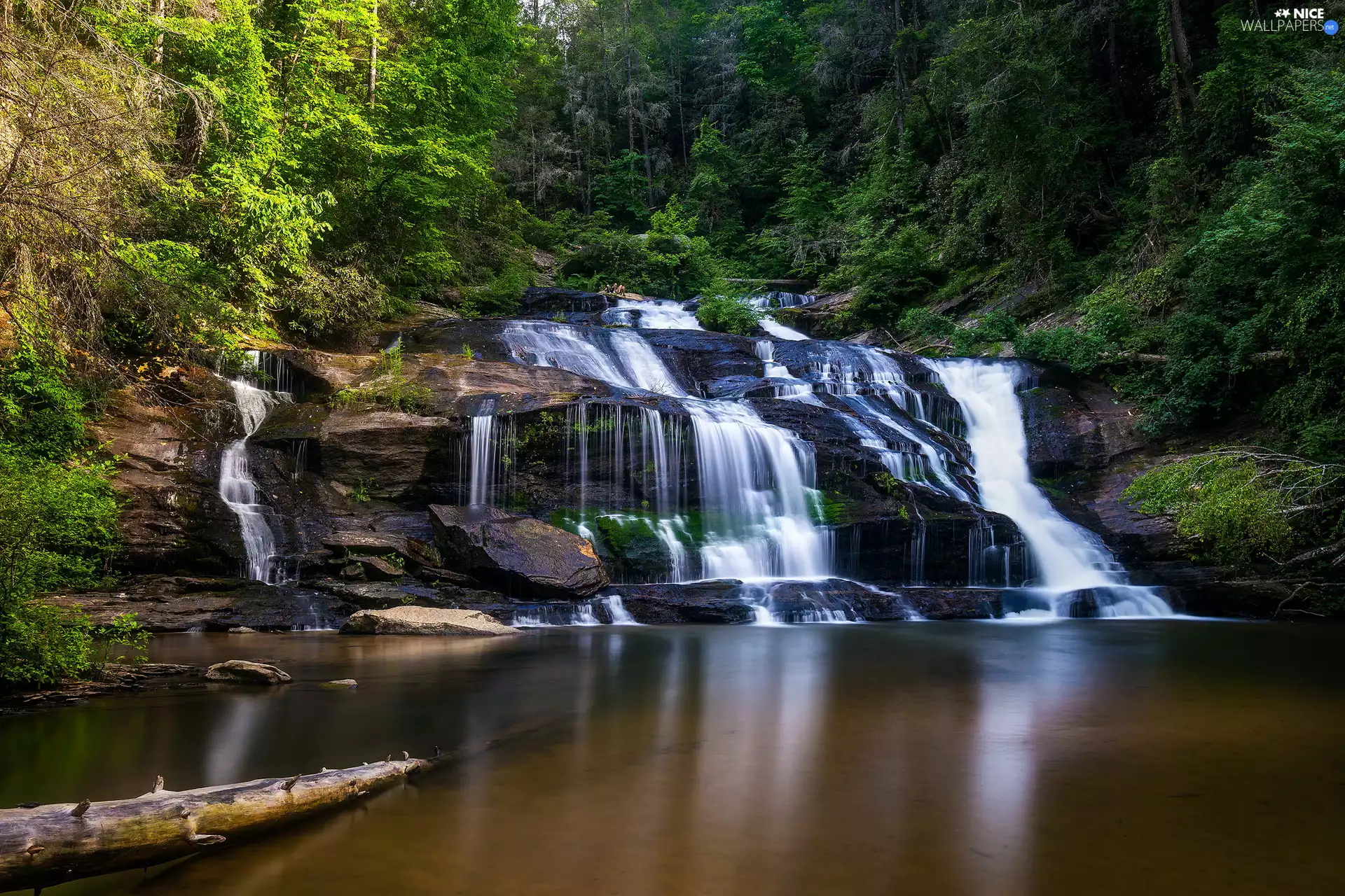 The United States, Panther Creek Falls, forest, Washington