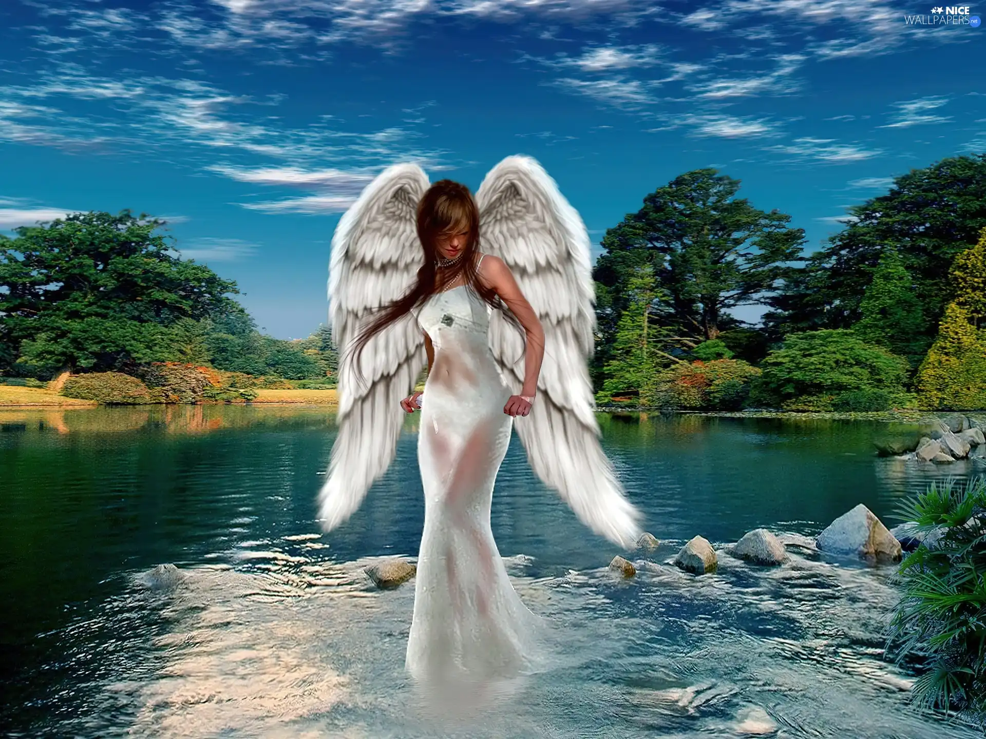 water, Sexy, angel