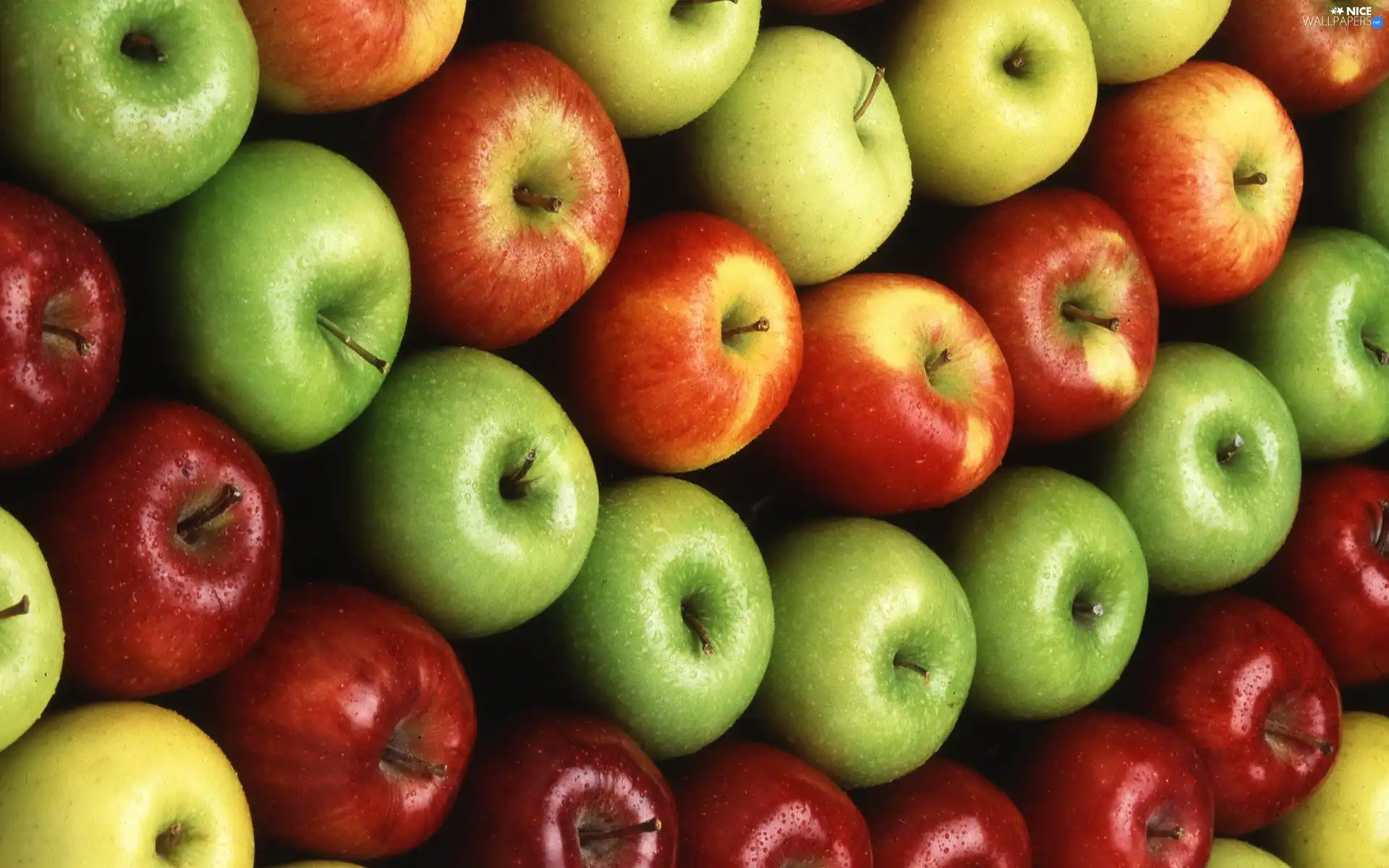 color, droplets, water, apples