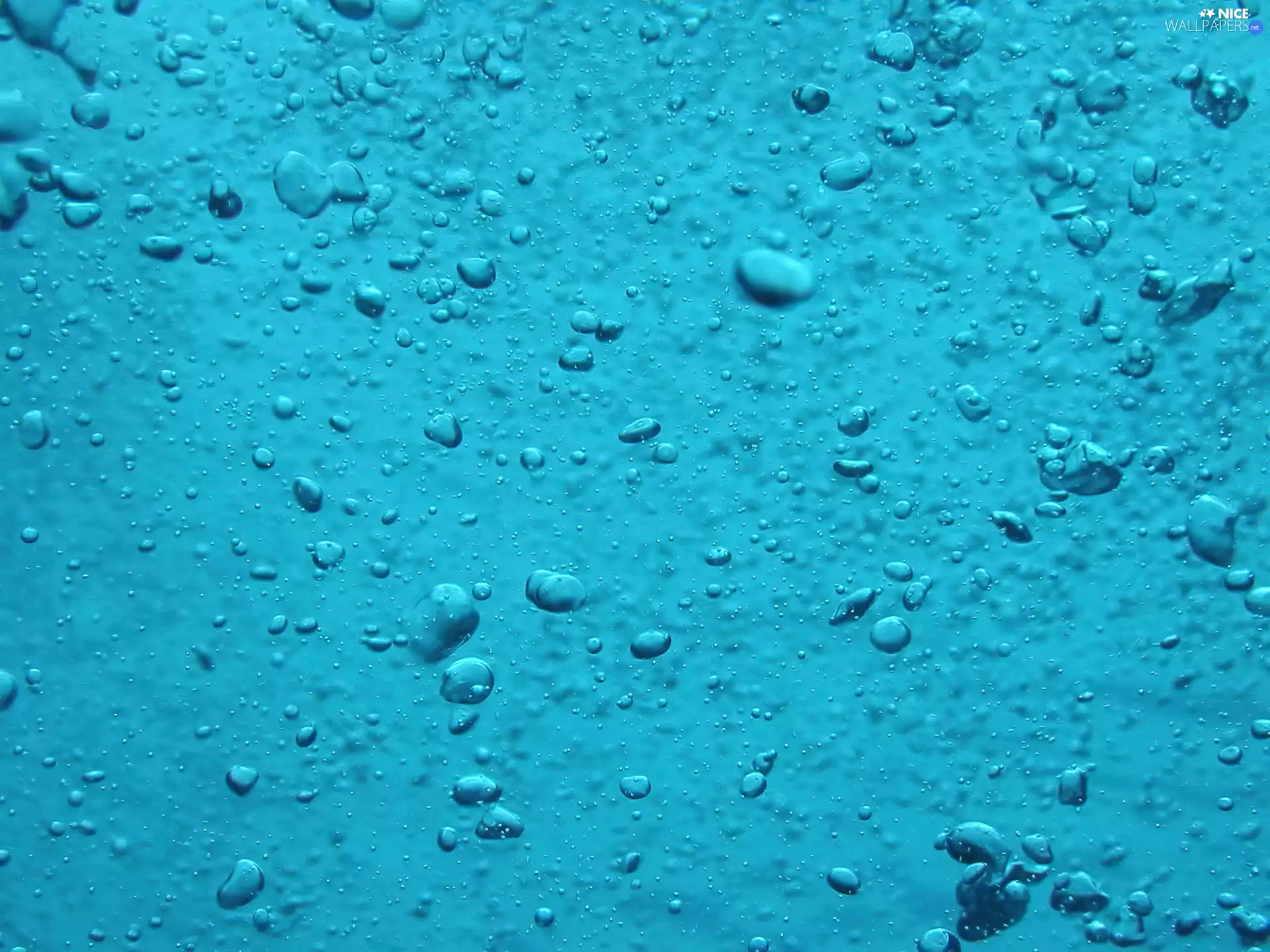 water, drops
