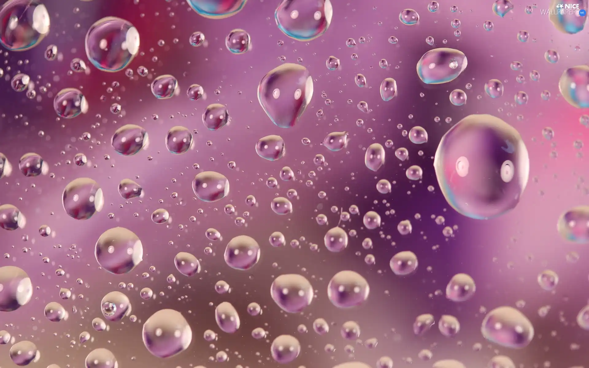 drops, water