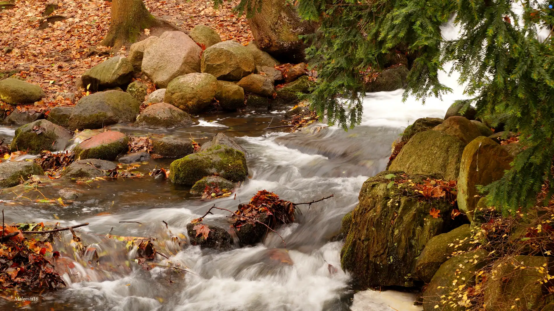 water, Stones, flux