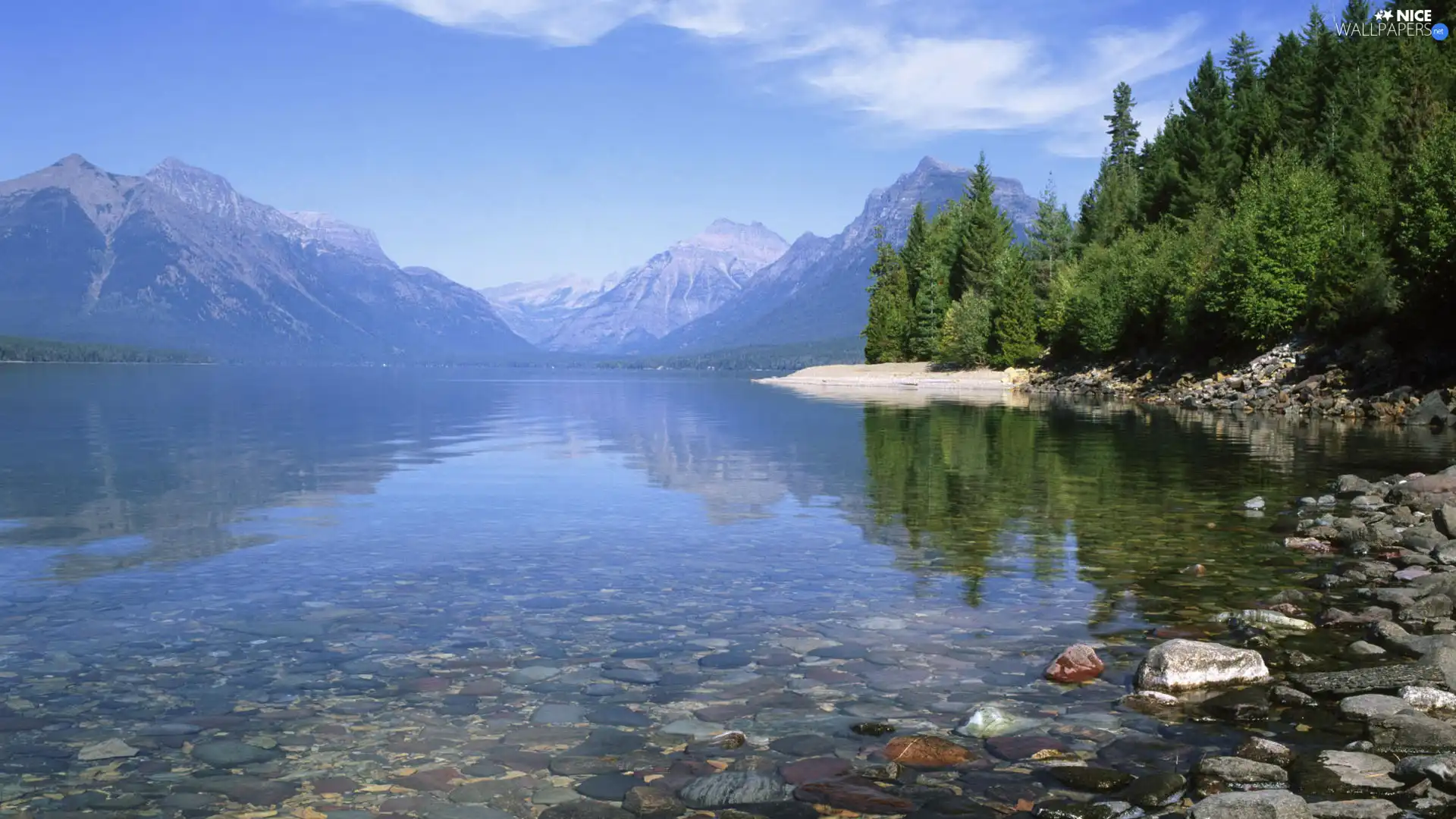 water, forest, lake, clear, Mountains