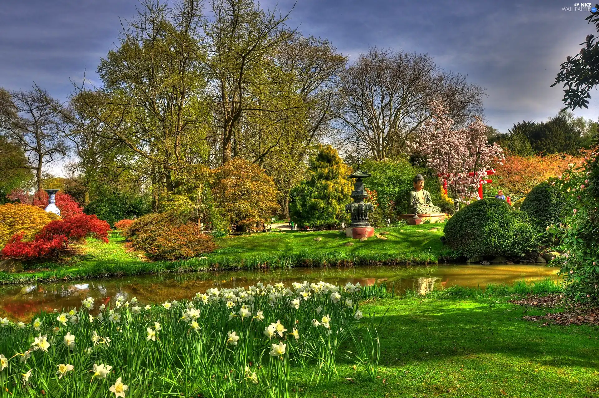 Garden, green, water, Flowers